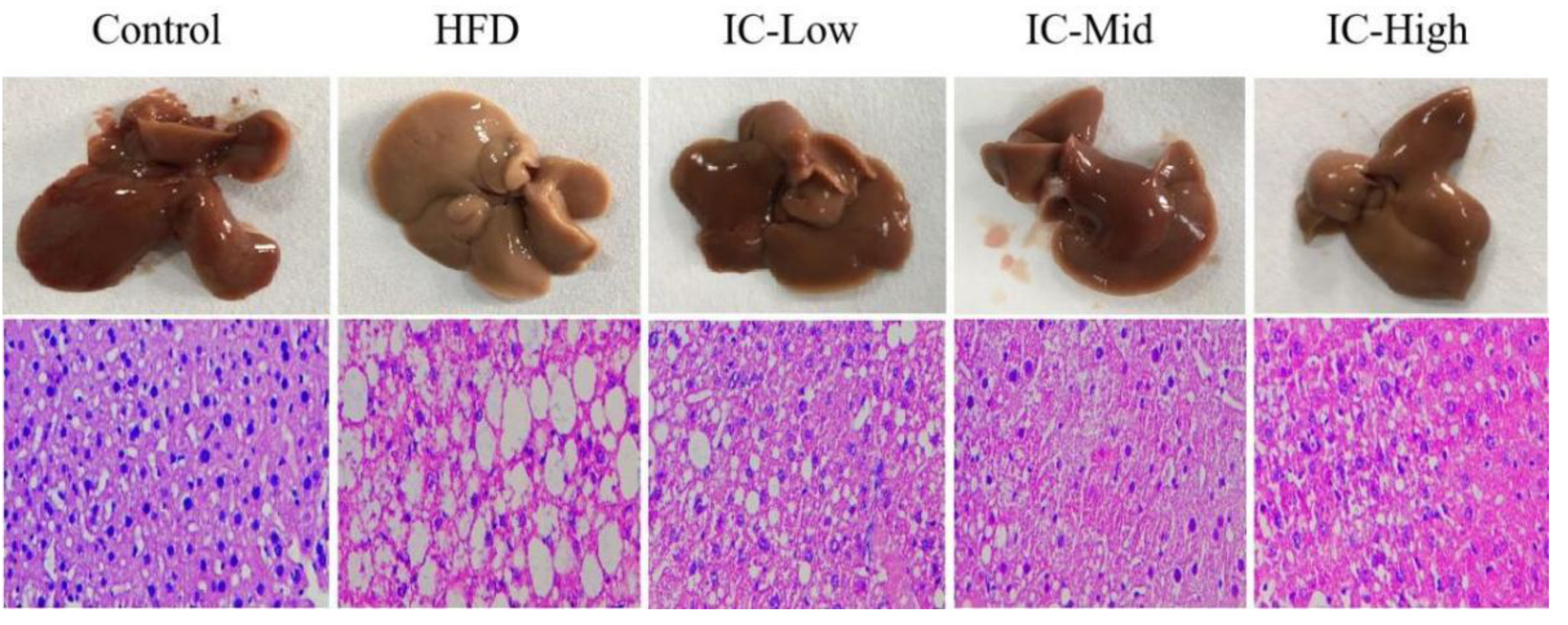 Molecules 27 03148 g002 Molecules 27 03148 g002