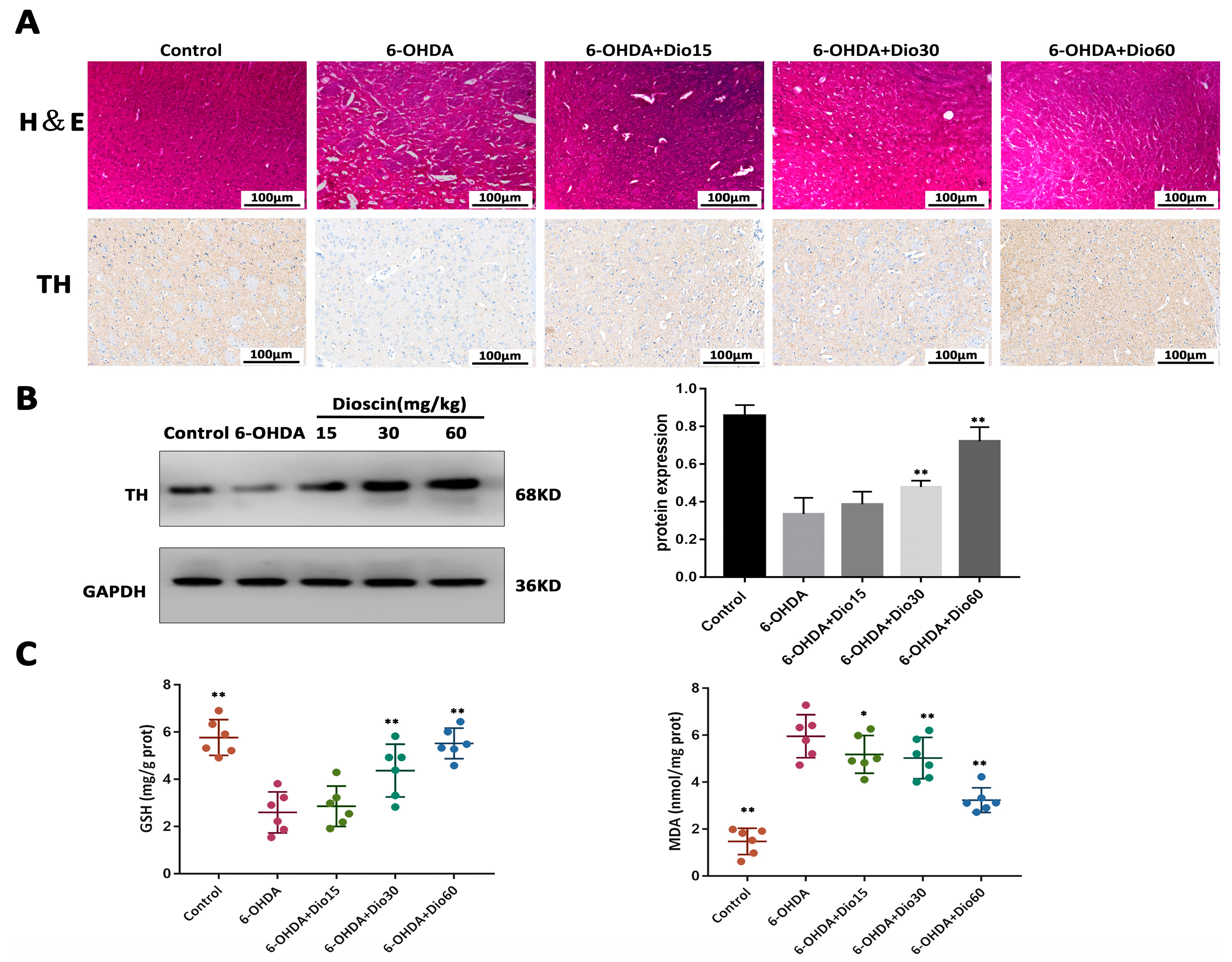 Molecules 27 03151 g005