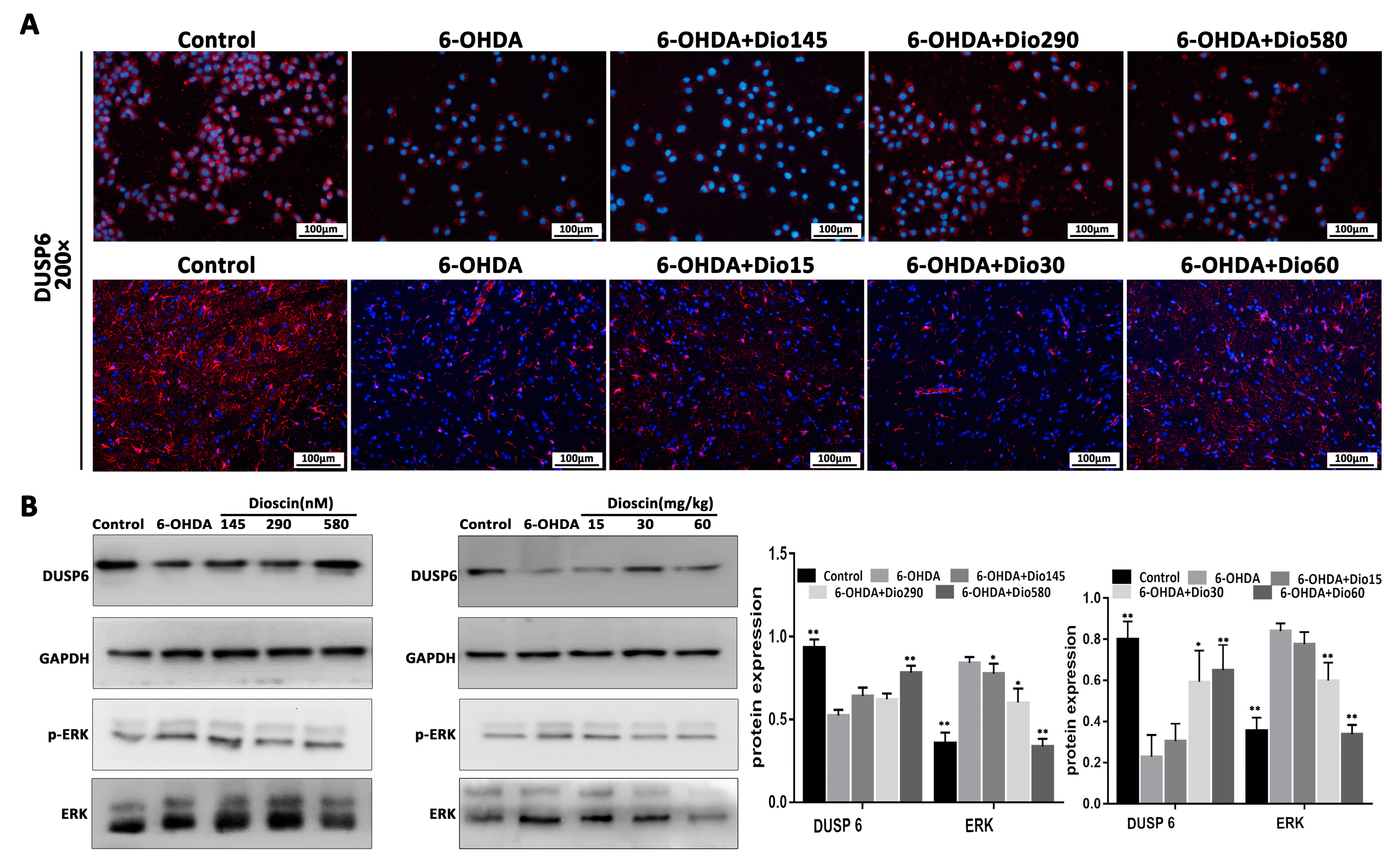 Molecules 27 03151 g006