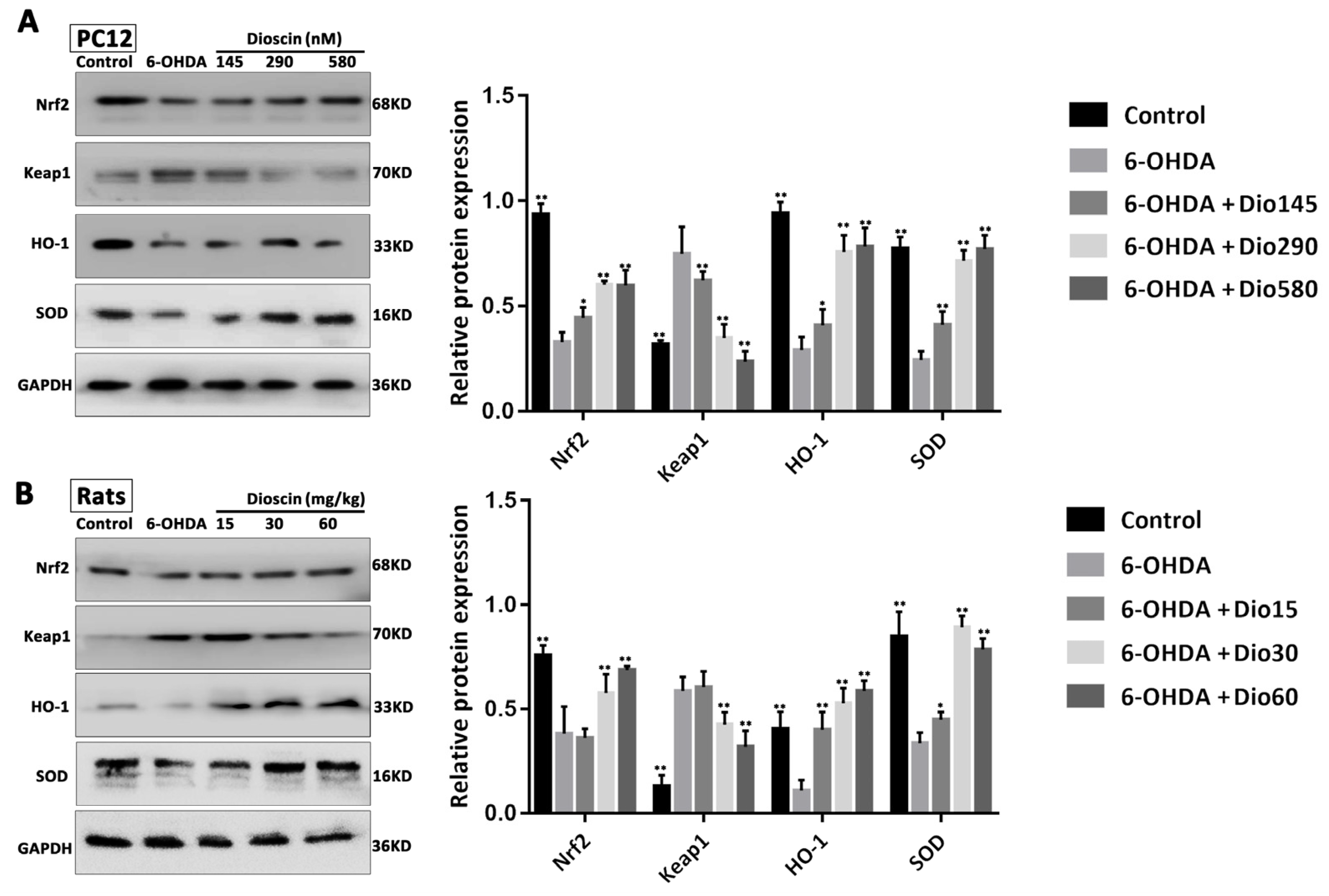 Molecules 27 03151 g007