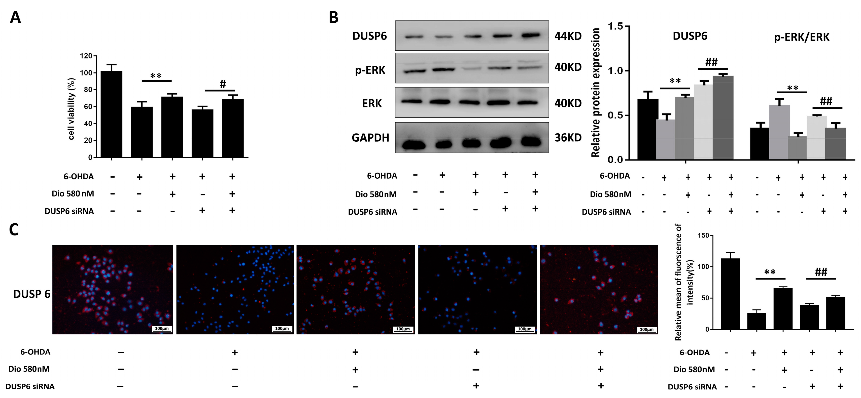 Molecules 27 03151 g008