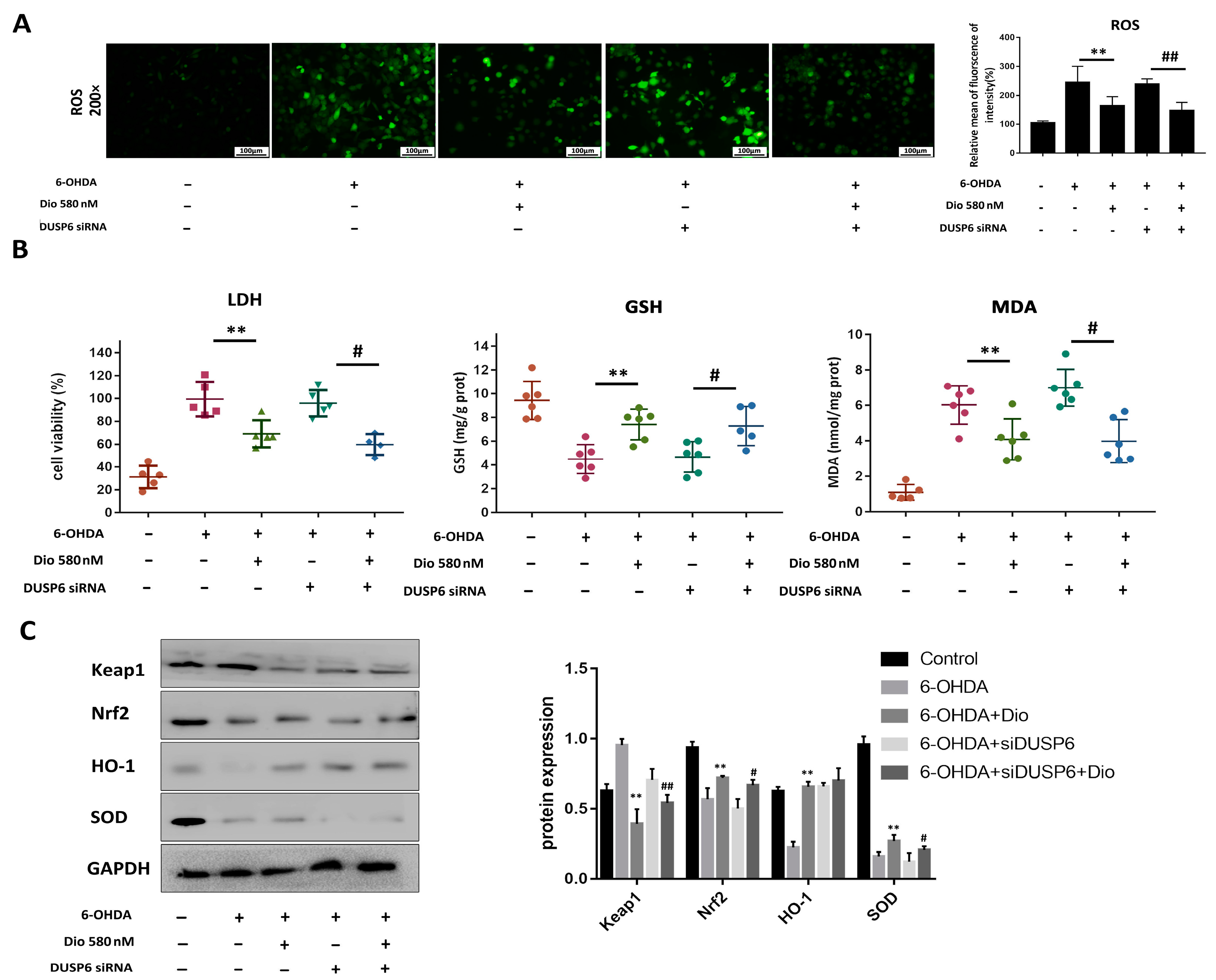 Molecules 27 03151 g009