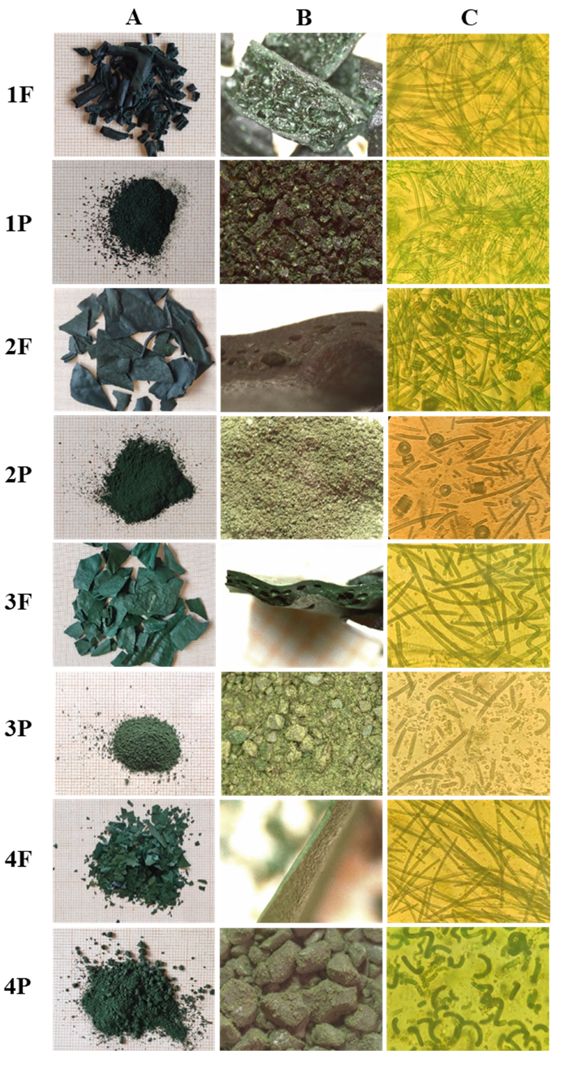 Molecules 27 03155 g001