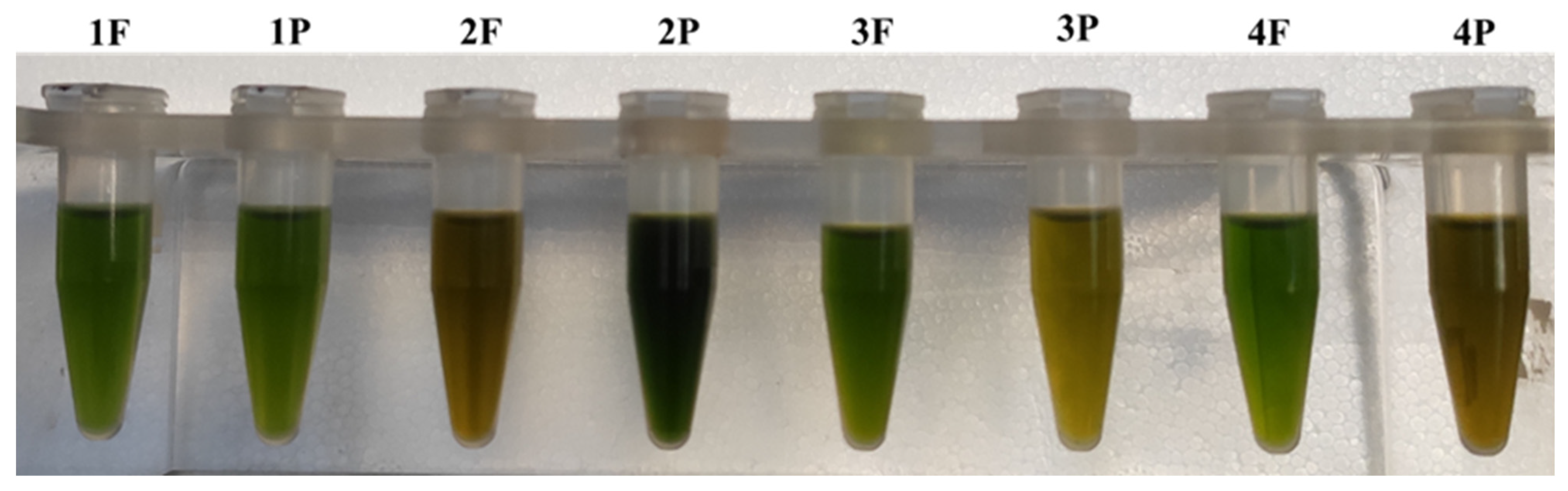 Molecules 27 03155 g002