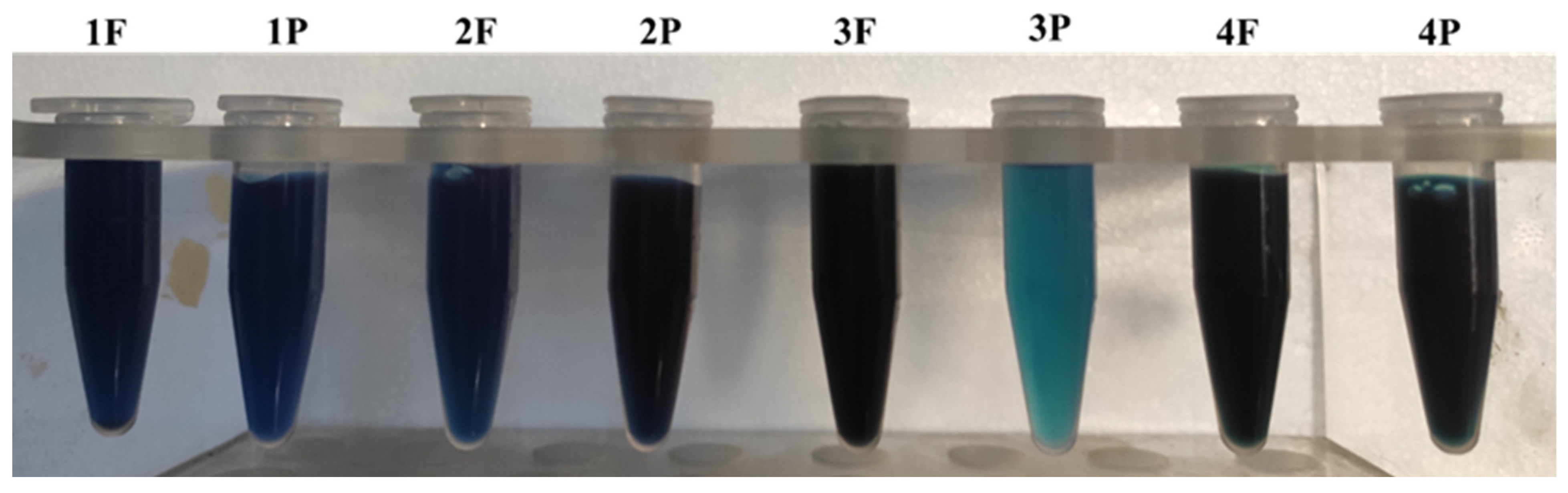 Molecules 27 03155 g006