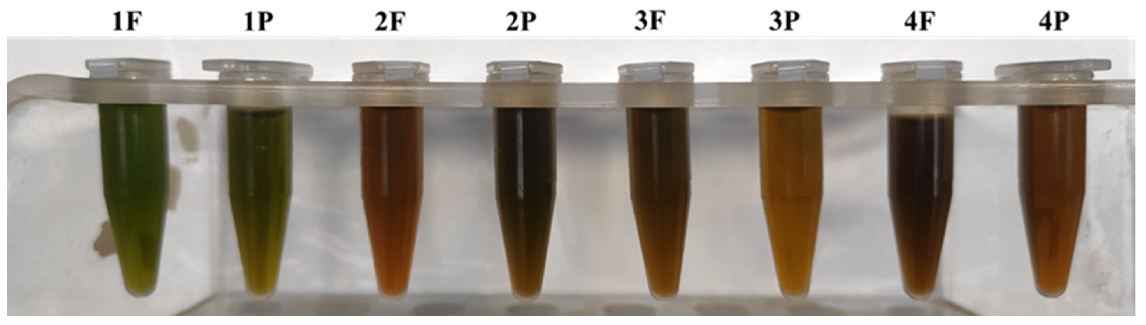 Molecules 27 03155 g008