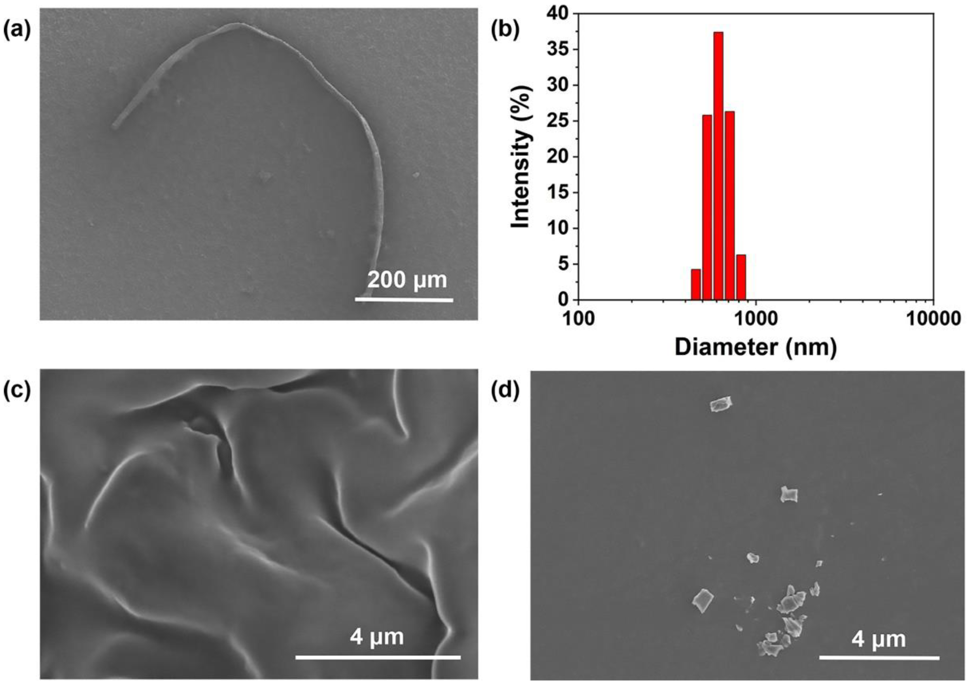 Molecules 27 03162 g004