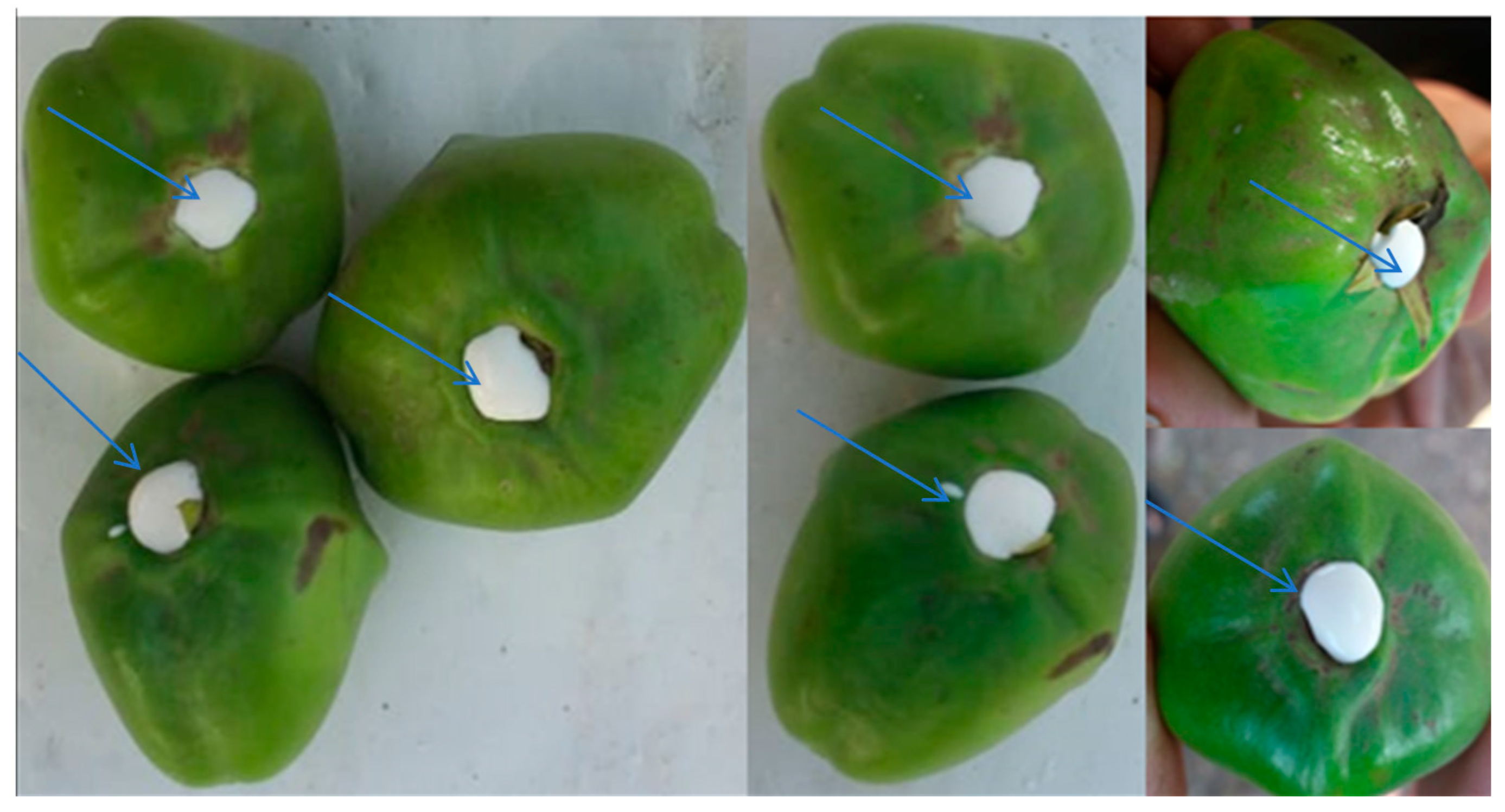 Molecules 27 03165 g001