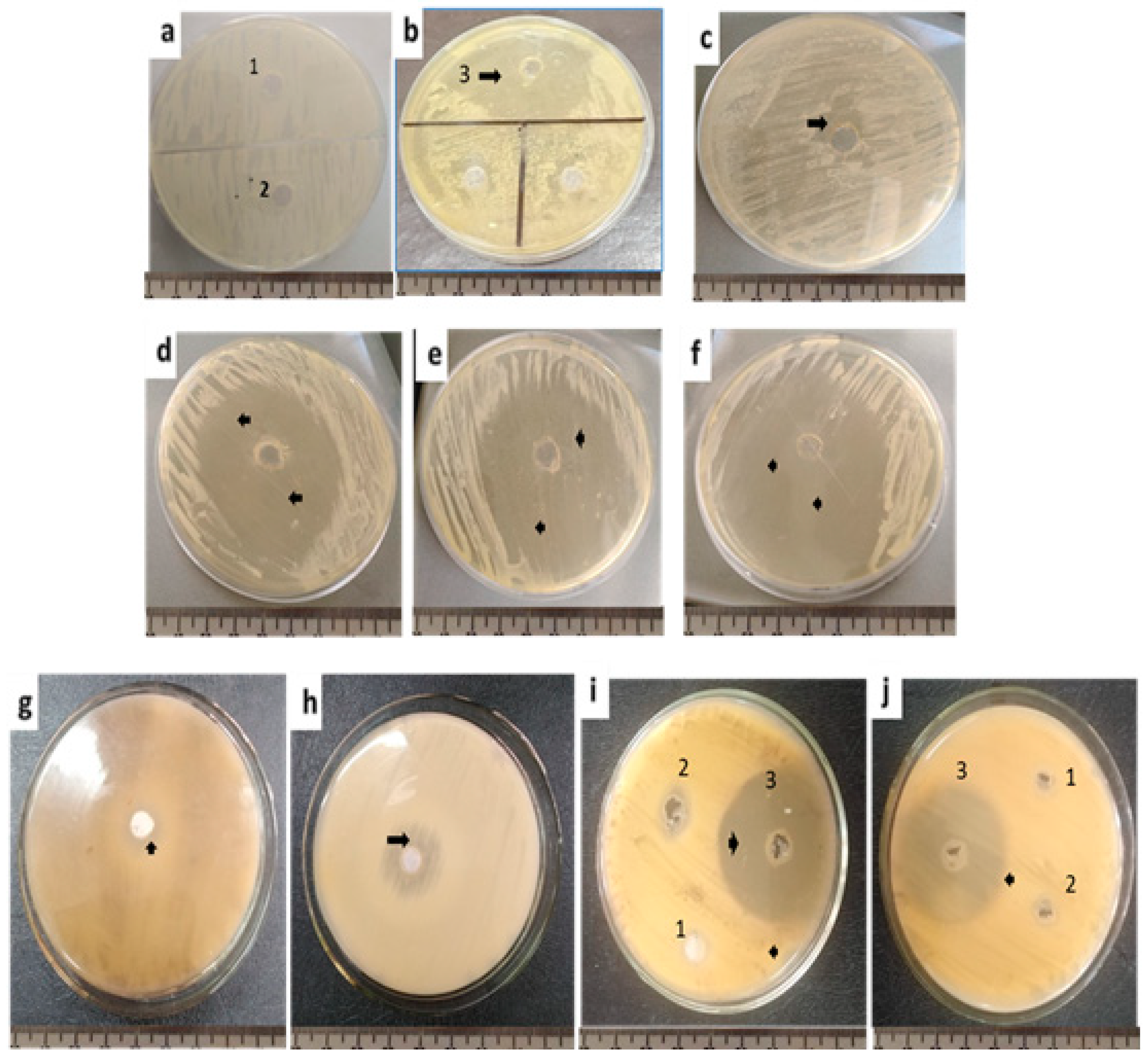 Molecules 27 03170 g001 Molecules 27 03170 g001