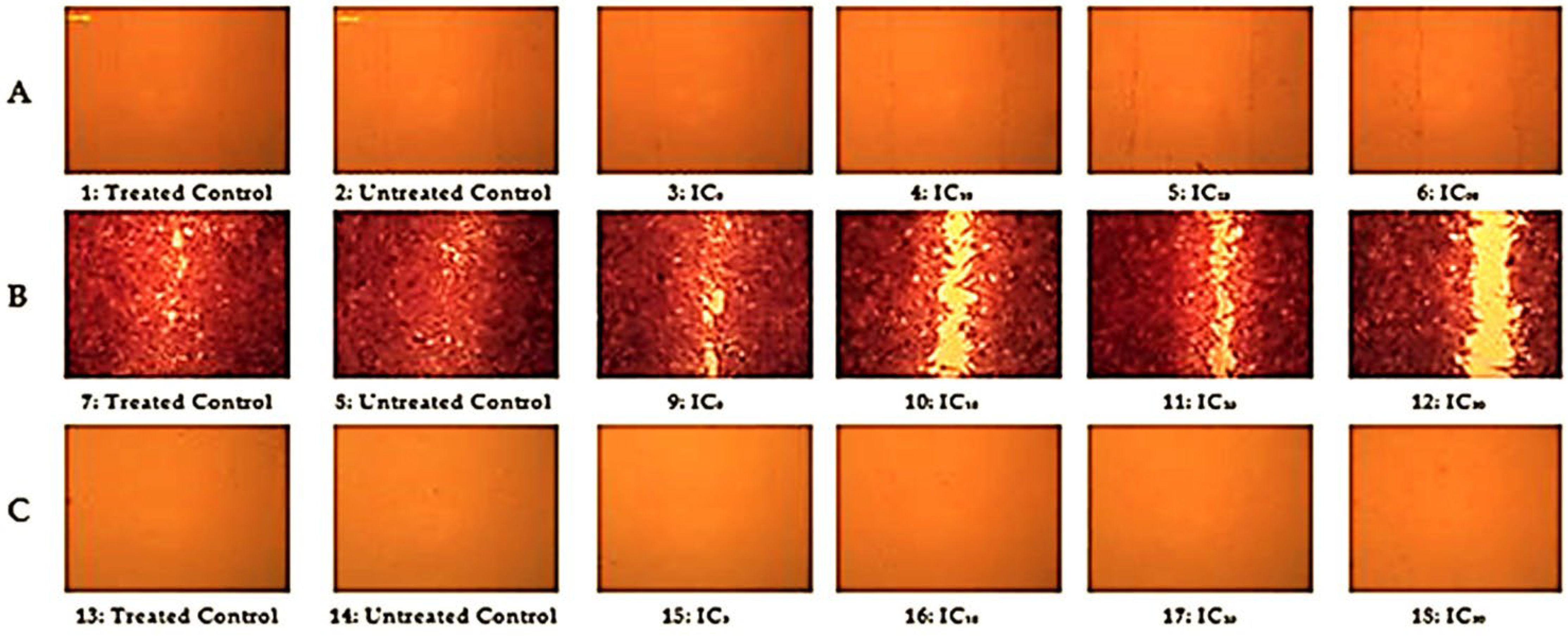 Molecules 27 03177 g003