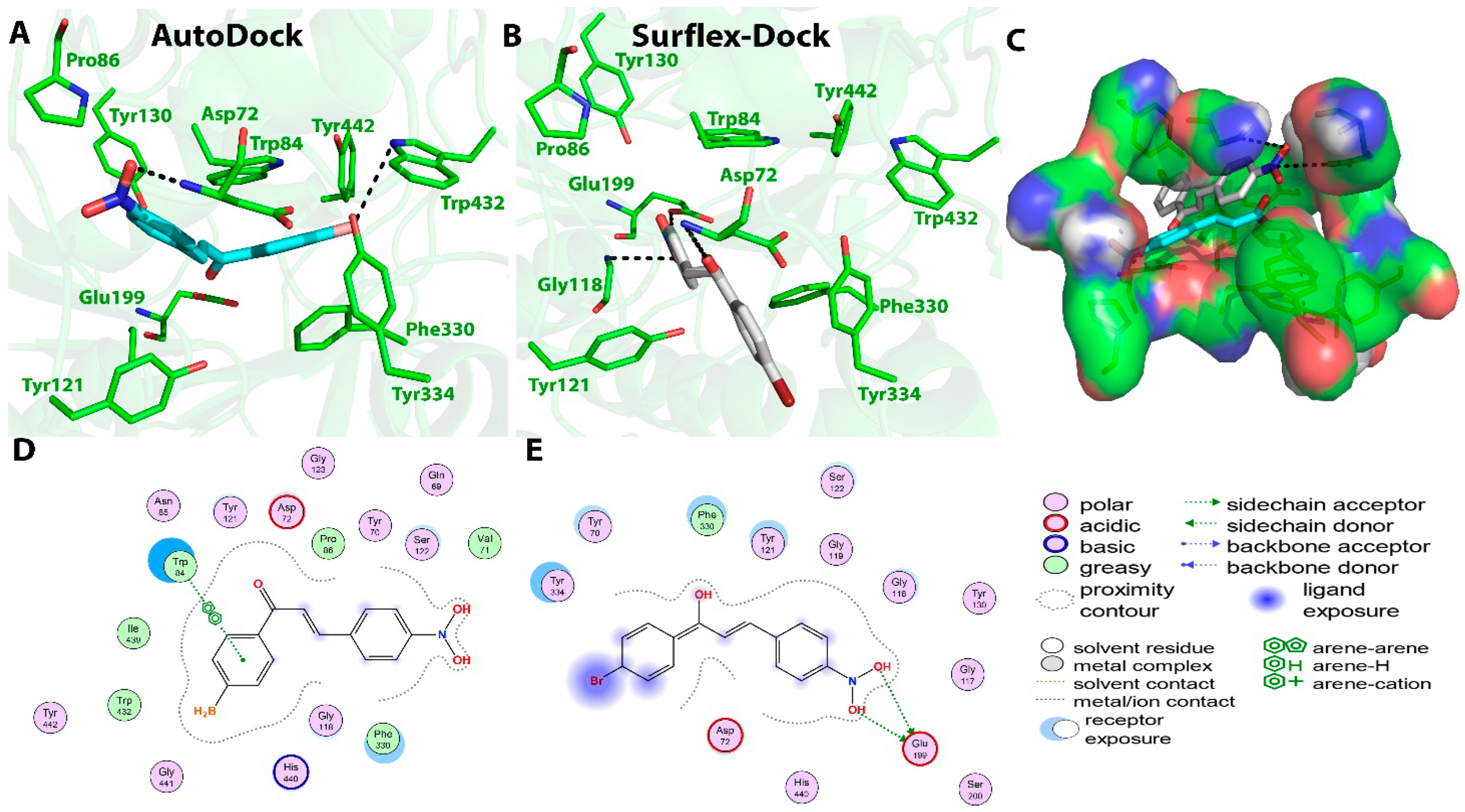 Molecules 27 03181 g007 550