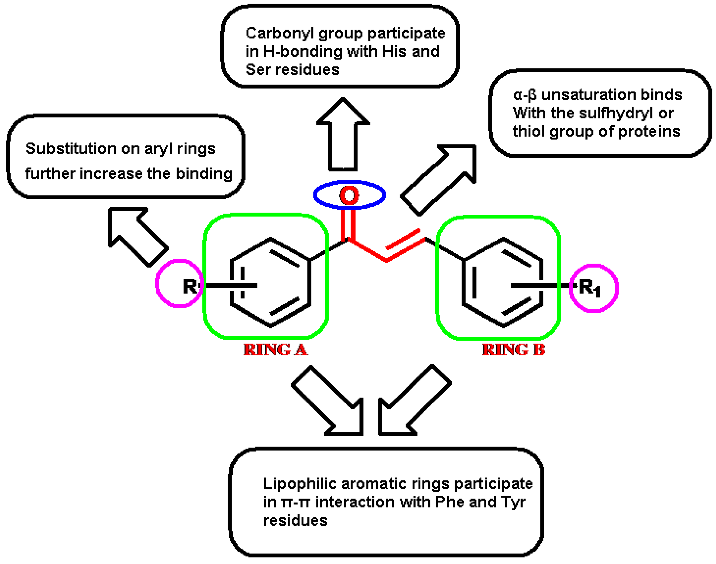 Molecules 27 03181 g008 550