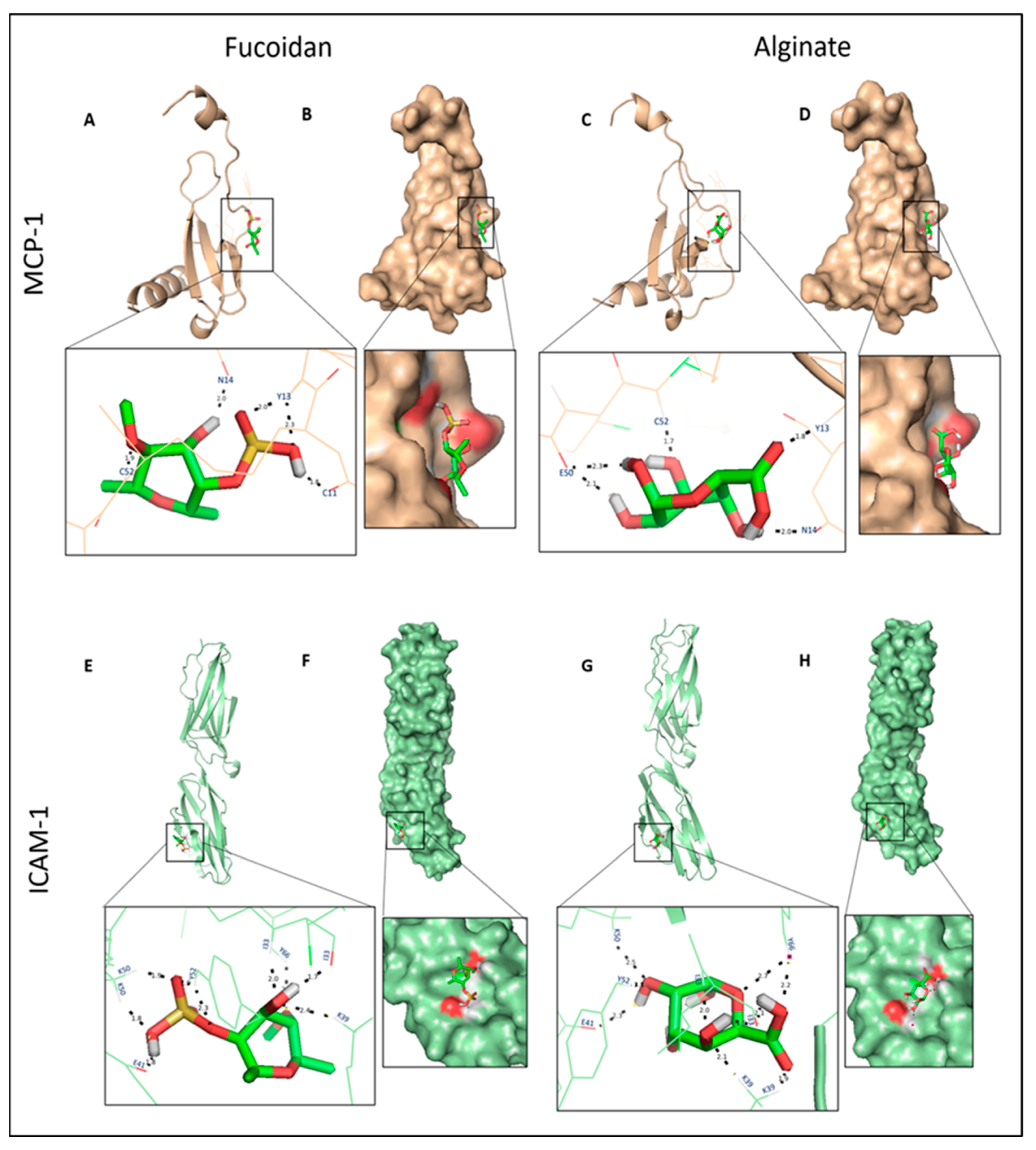 Molecules 27 03197 g005 Molecules 27 03197 g005