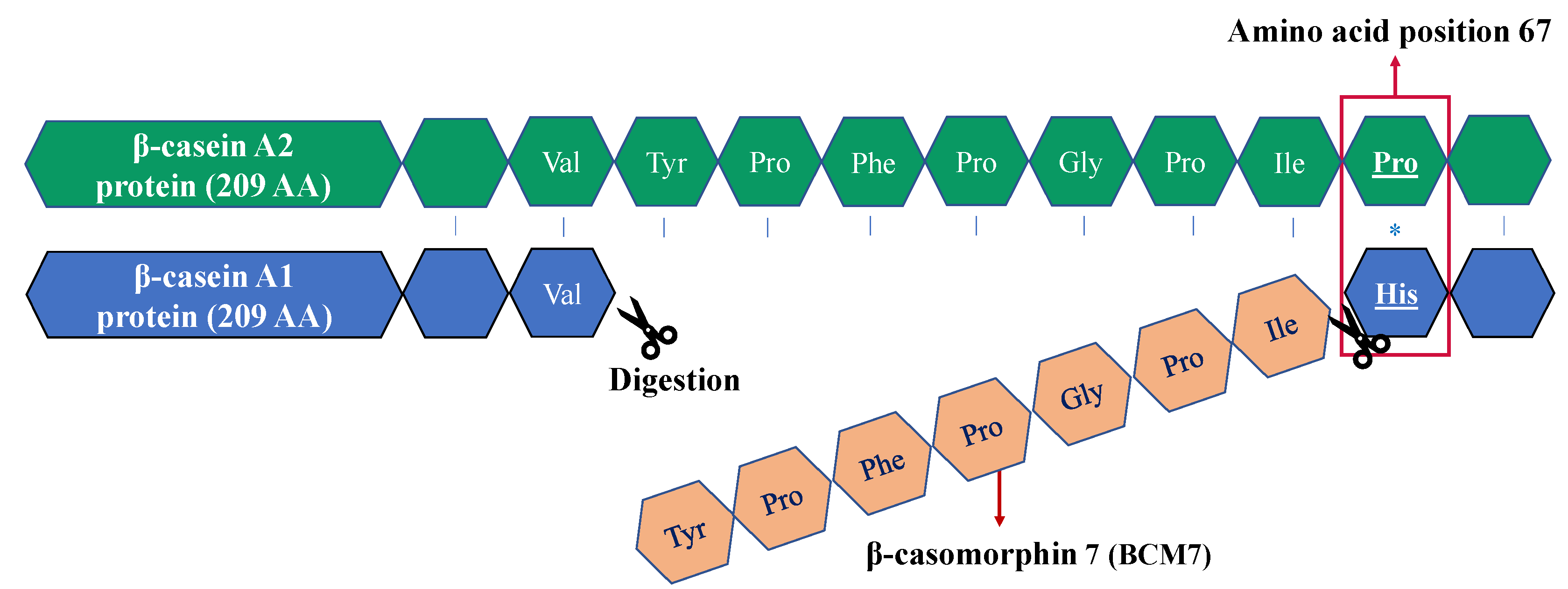 Molecules 27 03199 g001 550