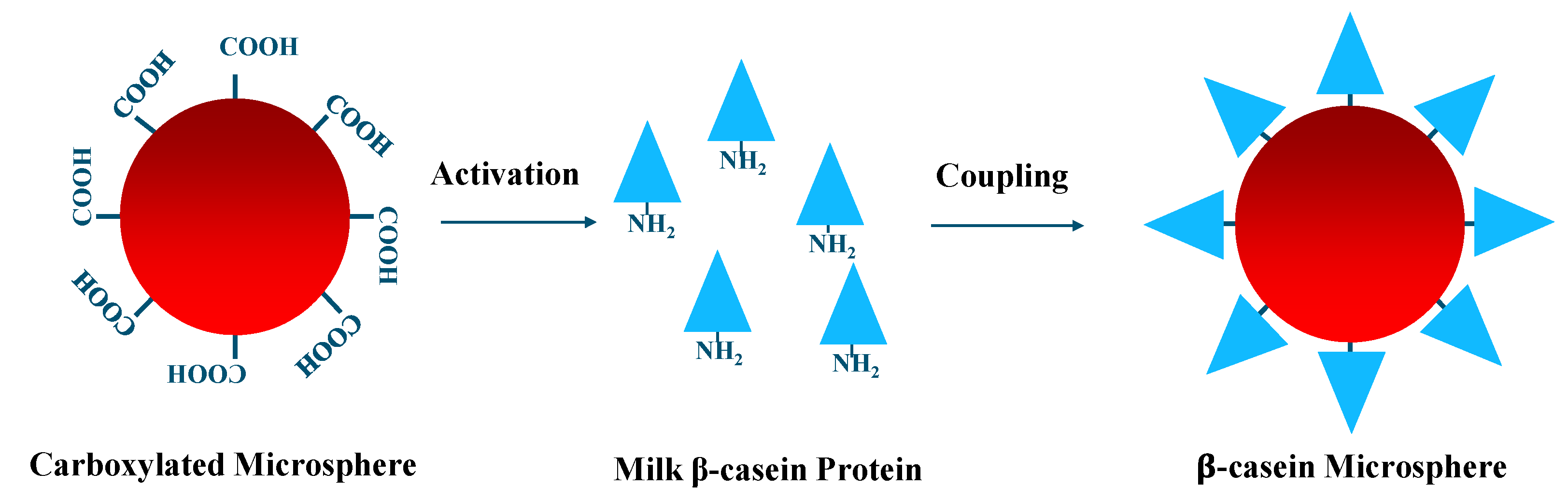 Molecules 27 03199 g008 550