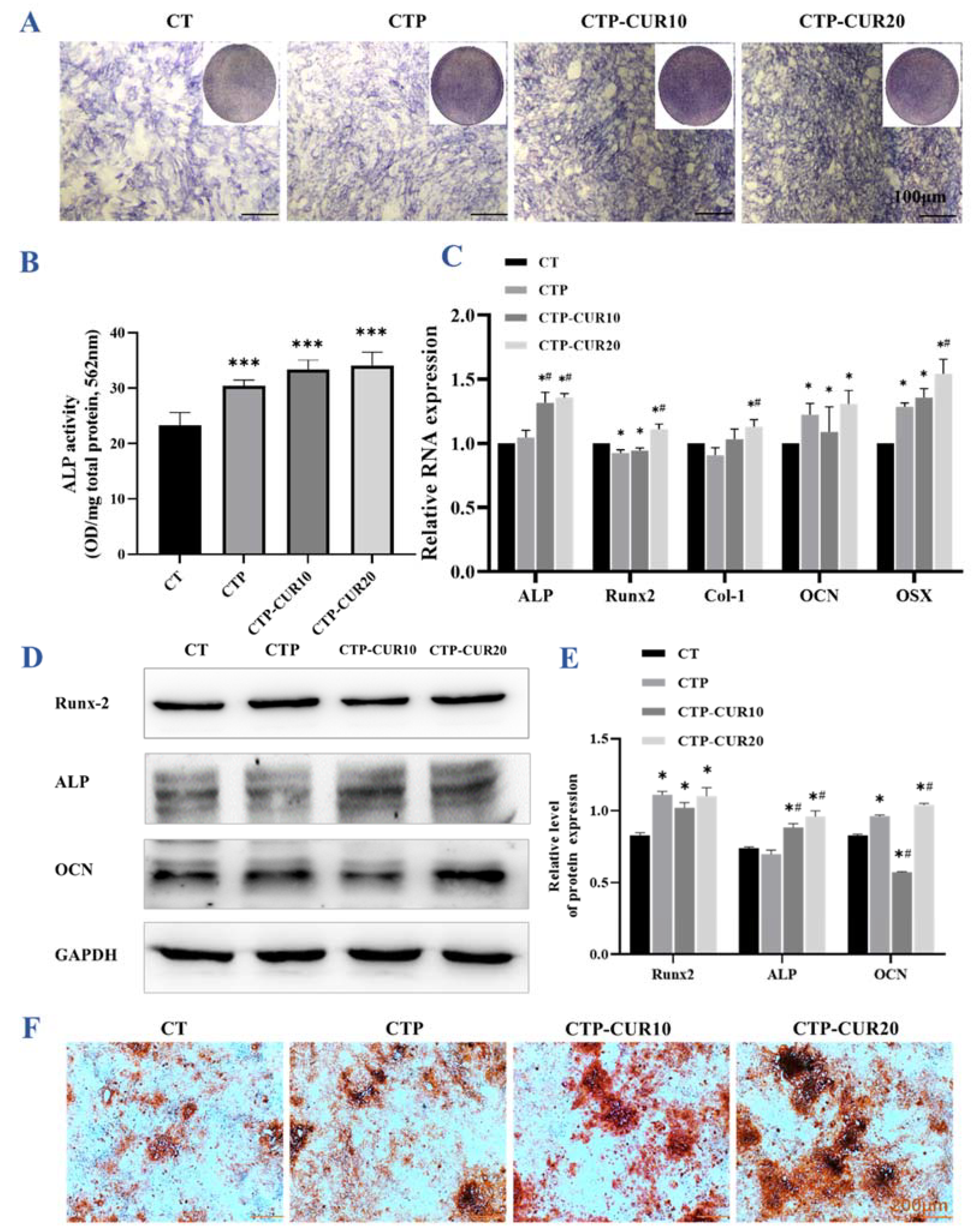 Molecules 27 03205 g005
