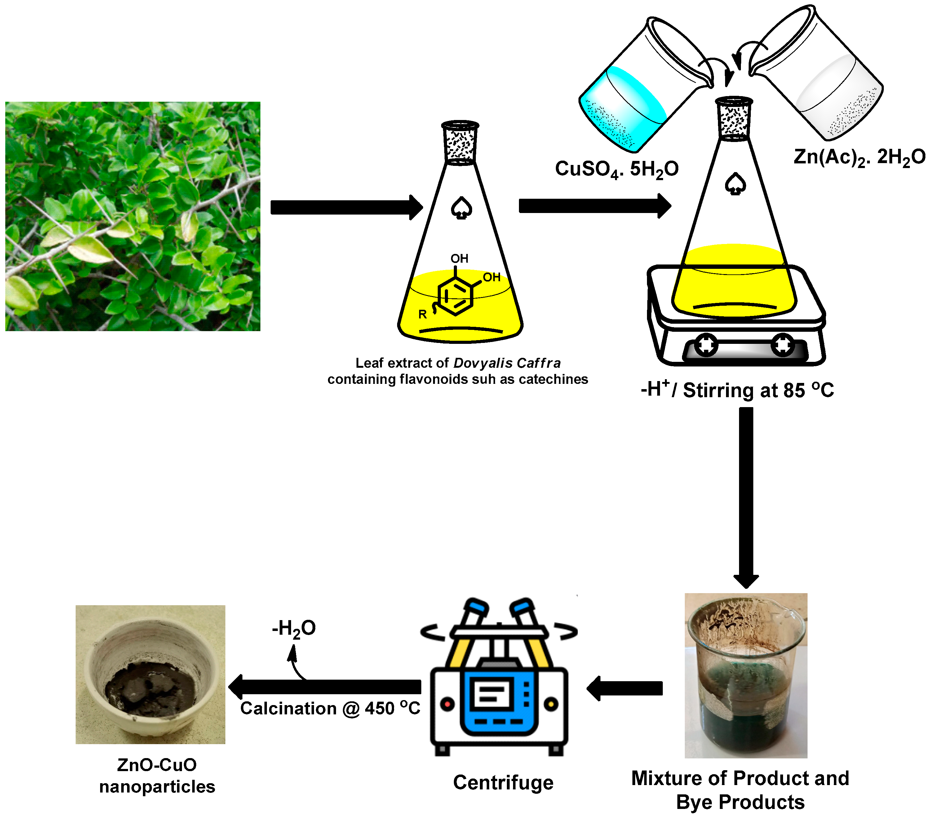 Molecules 27 03206 g002