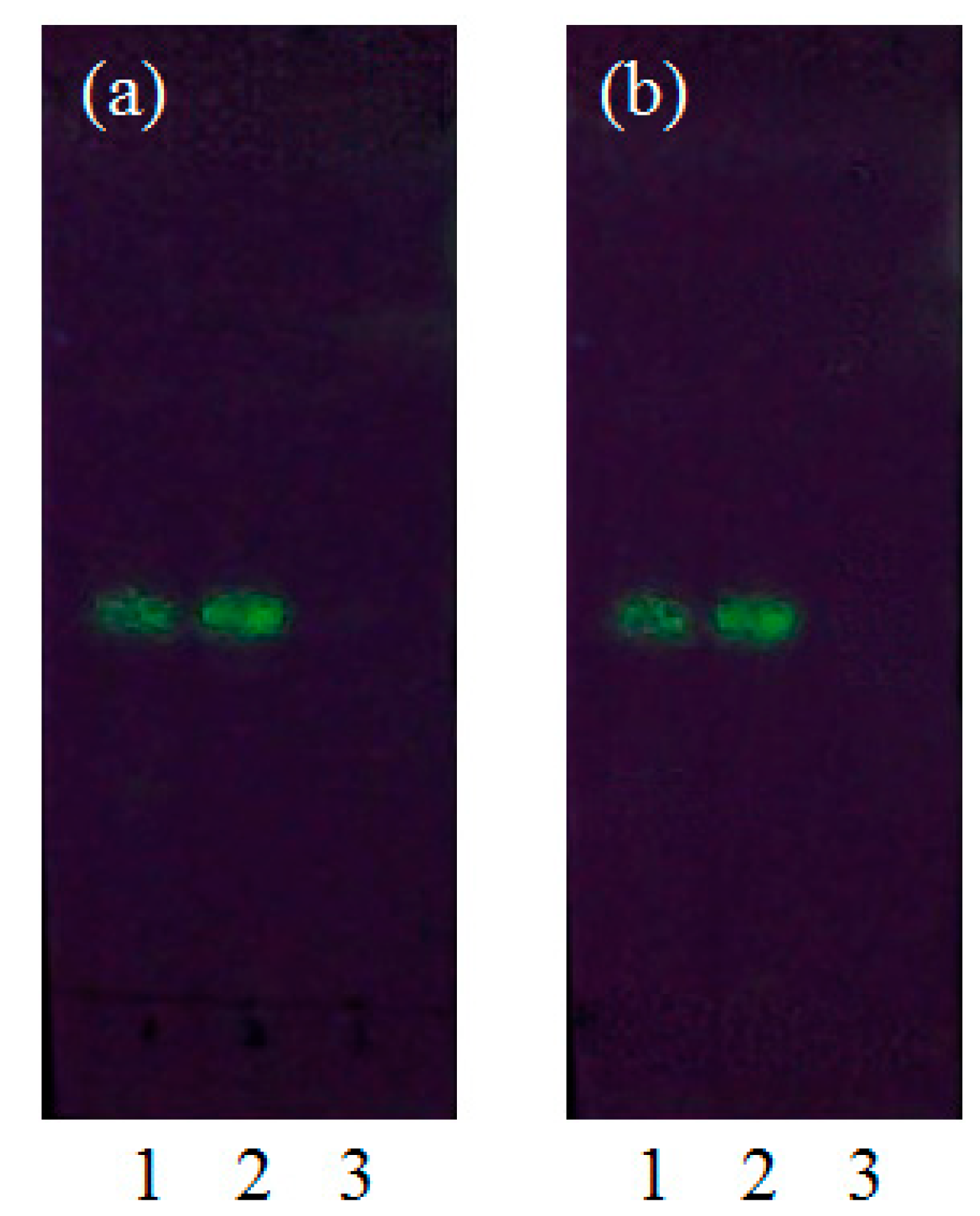 Molecules 27 03213 g006