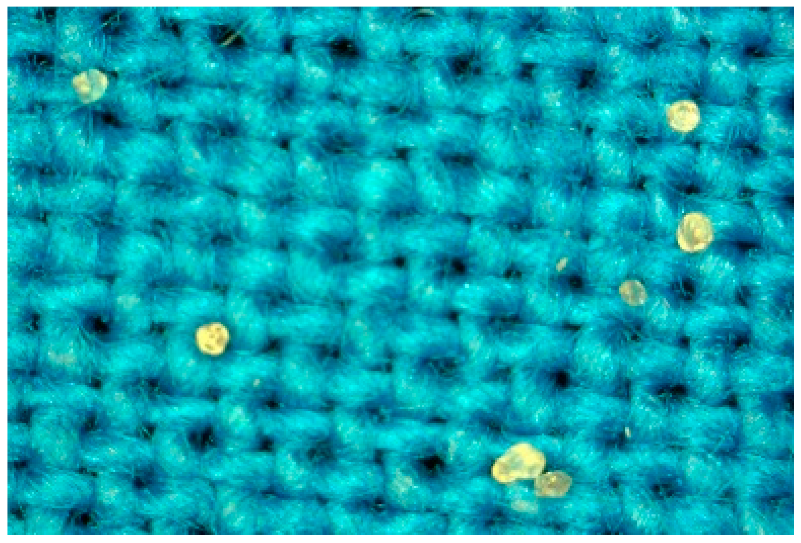 Molecules 27 03219 g003 550