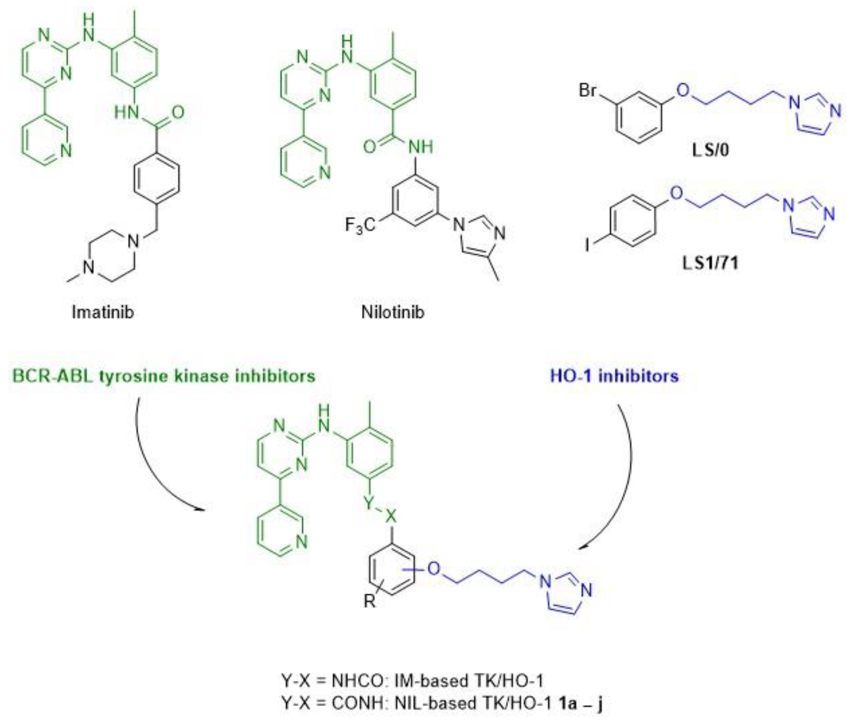 Molecules 27 03220 g001