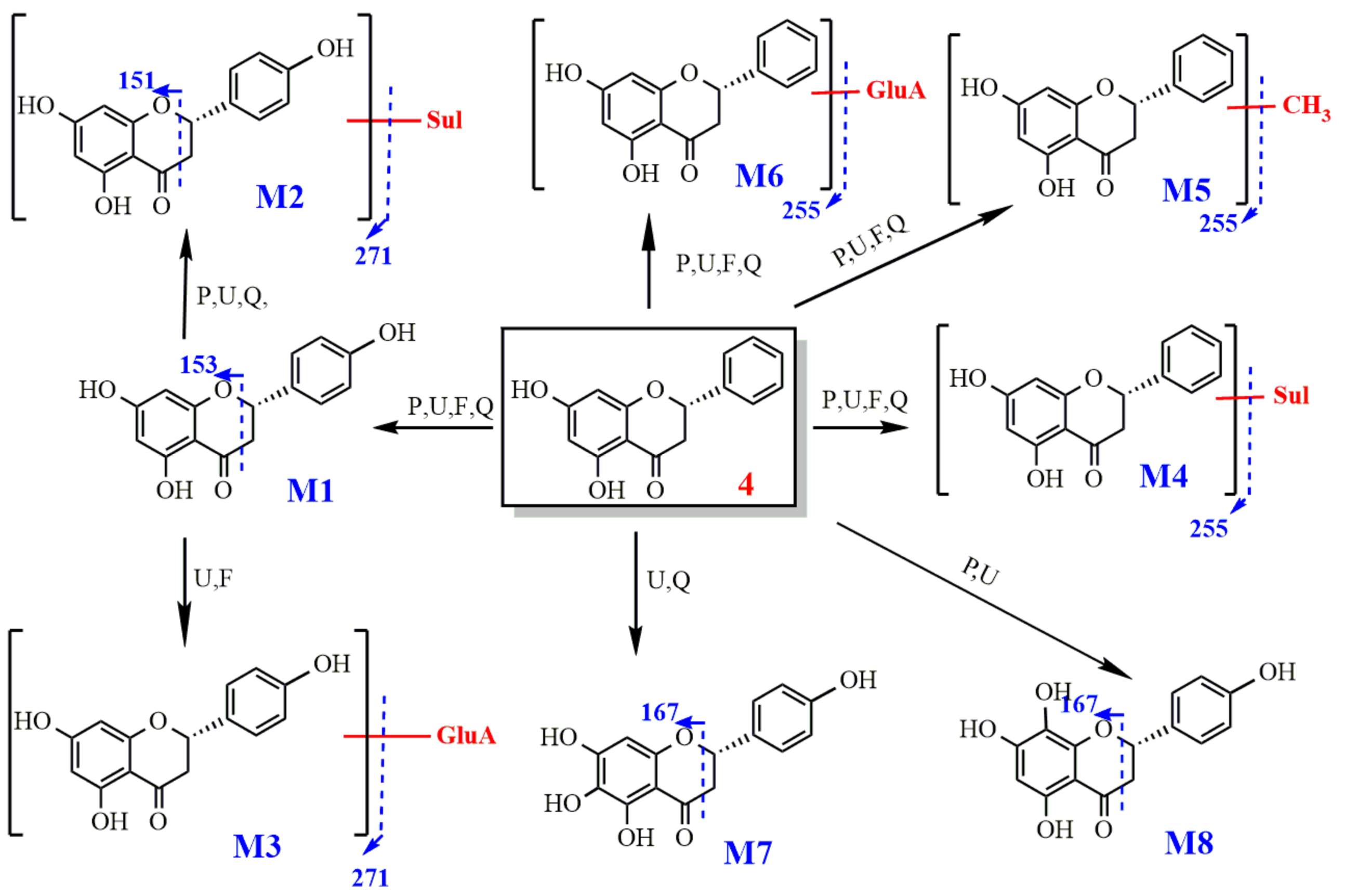 Molecules 27 03245 g012 550