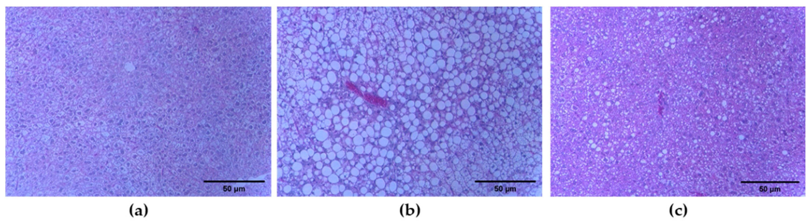 Molecules 27 03248 g005