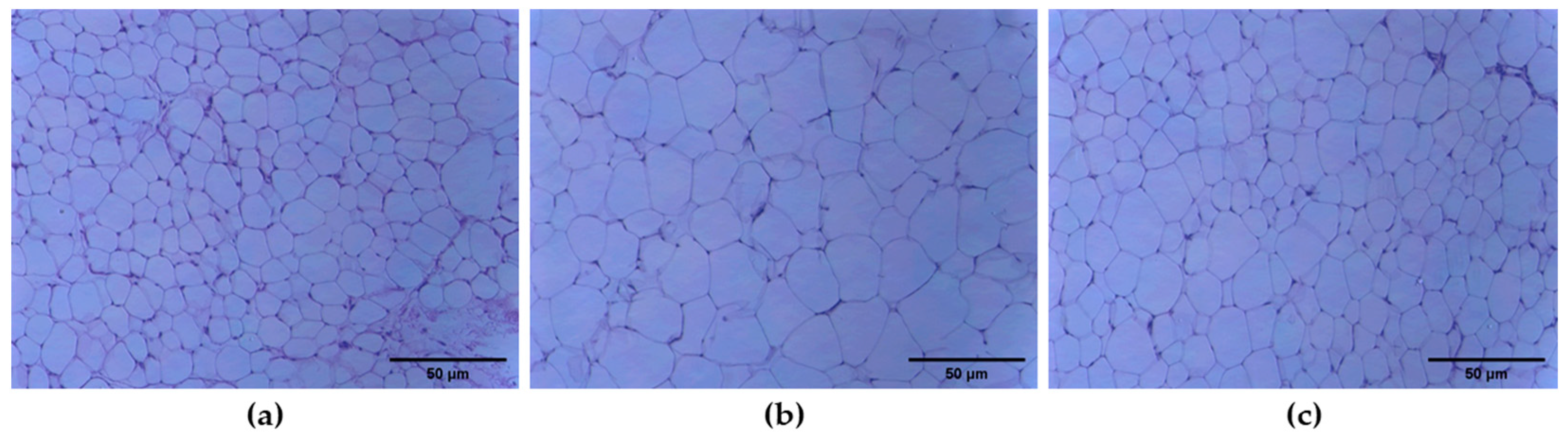 Molecules 27 03248 g006