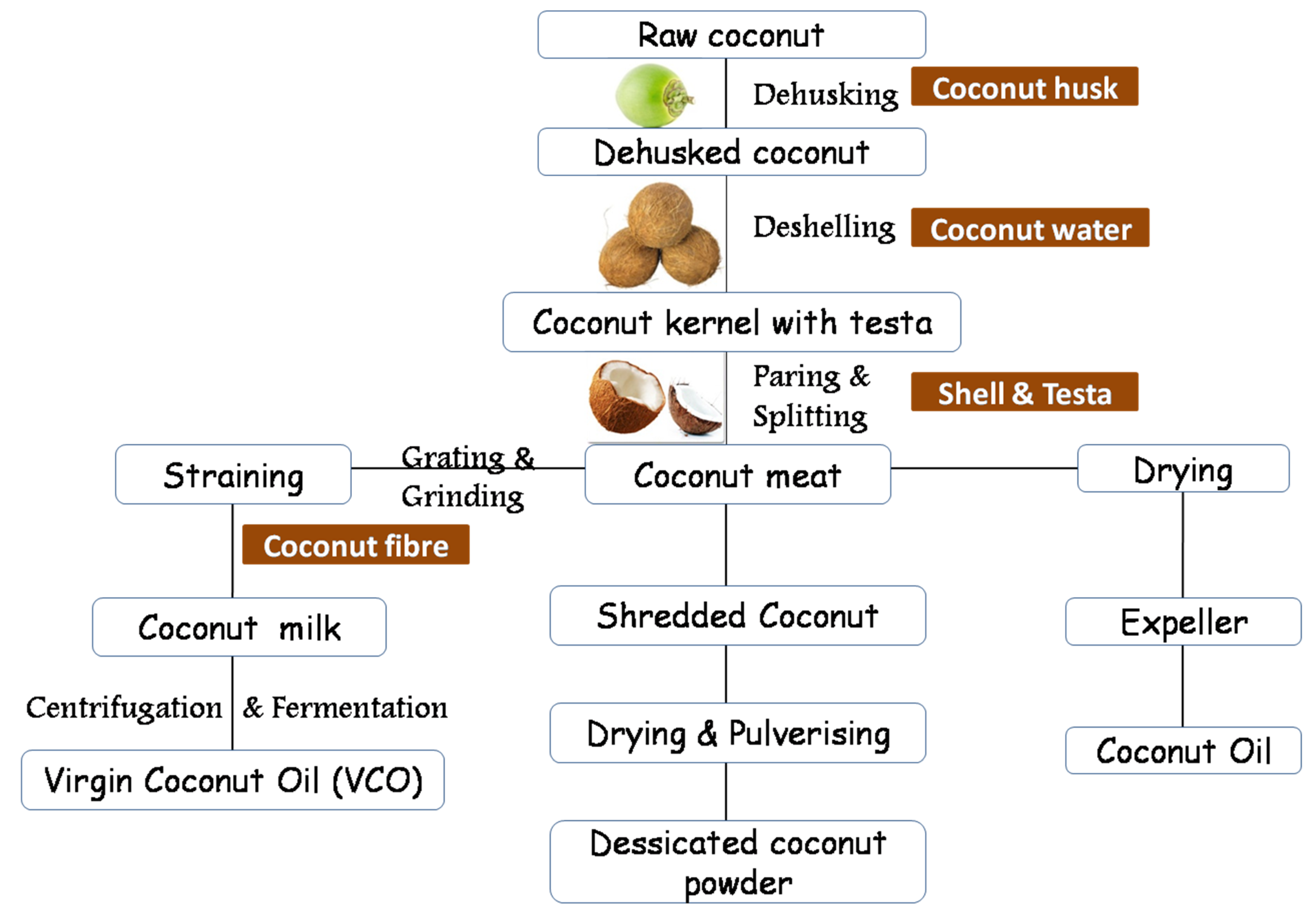 Molecules Free Full Text Contemporary Developments And Emerging Trends In The Application Of Spectroscopy Techniques A Particular Reference To Coconut Cocos Nucifera L Html