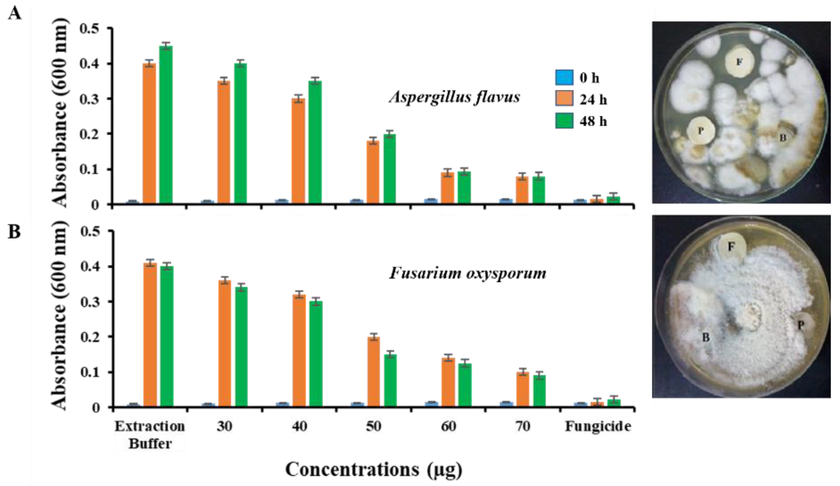 Molecules 27 03251 g007 Molecules 27 03251 g007