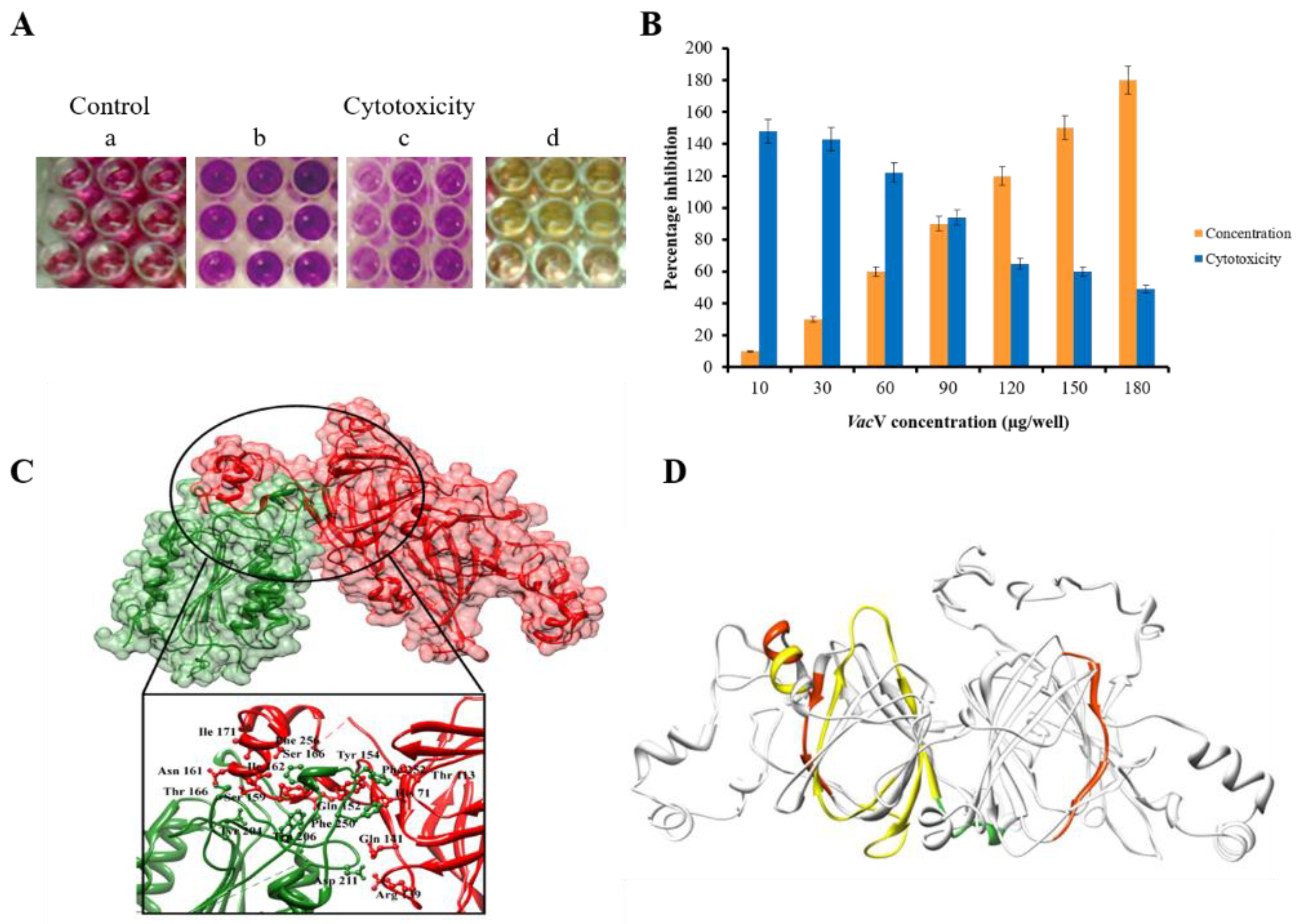Molecules 27 03251 g009 Molecules 27 03251 g009