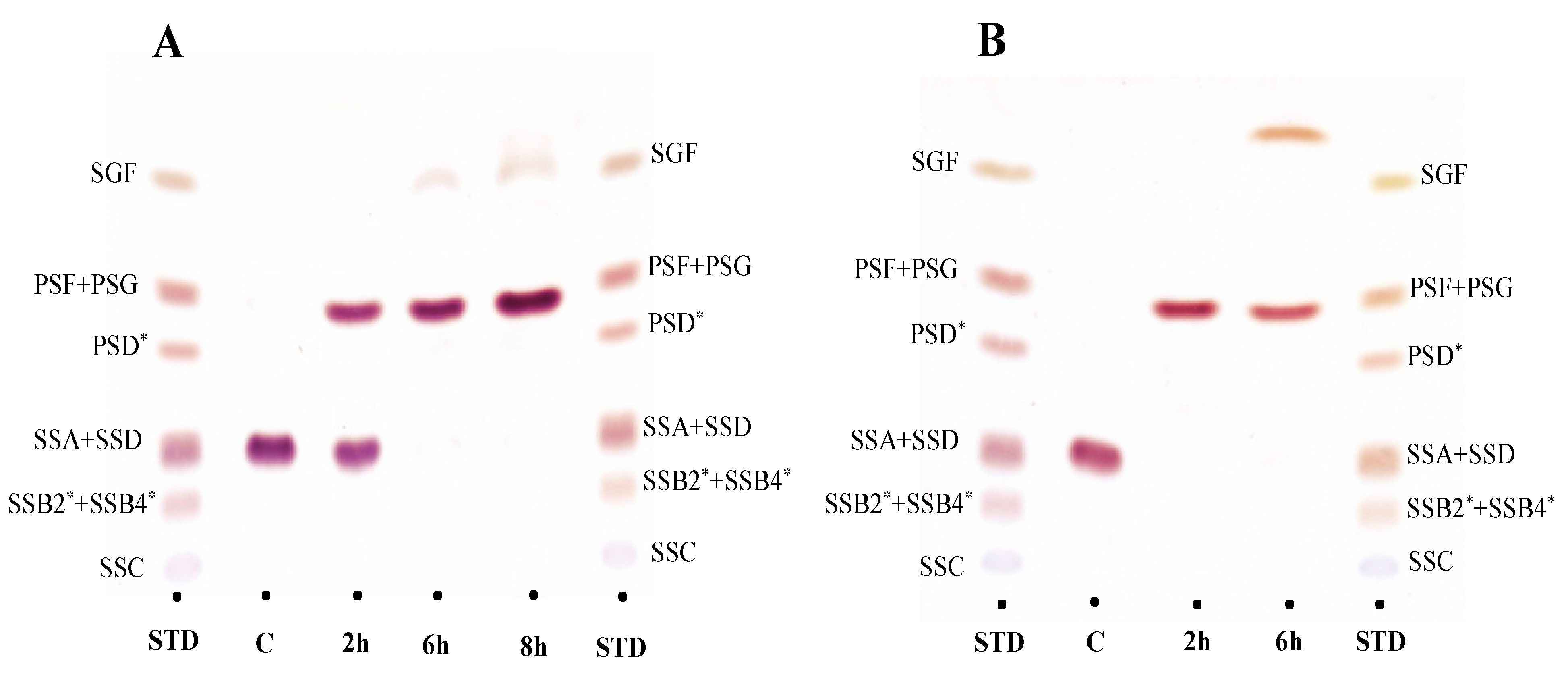 Molecules 27 03255 g003 550