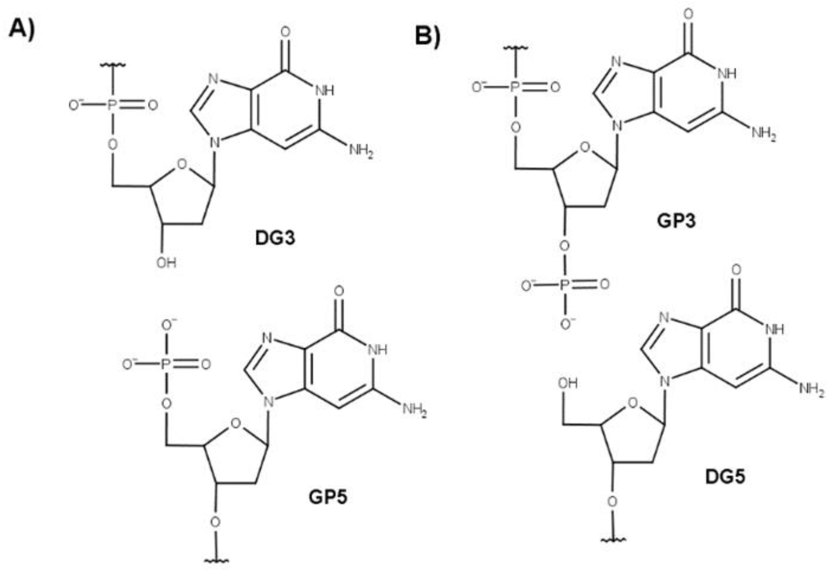 Molecules 27 03256 g001