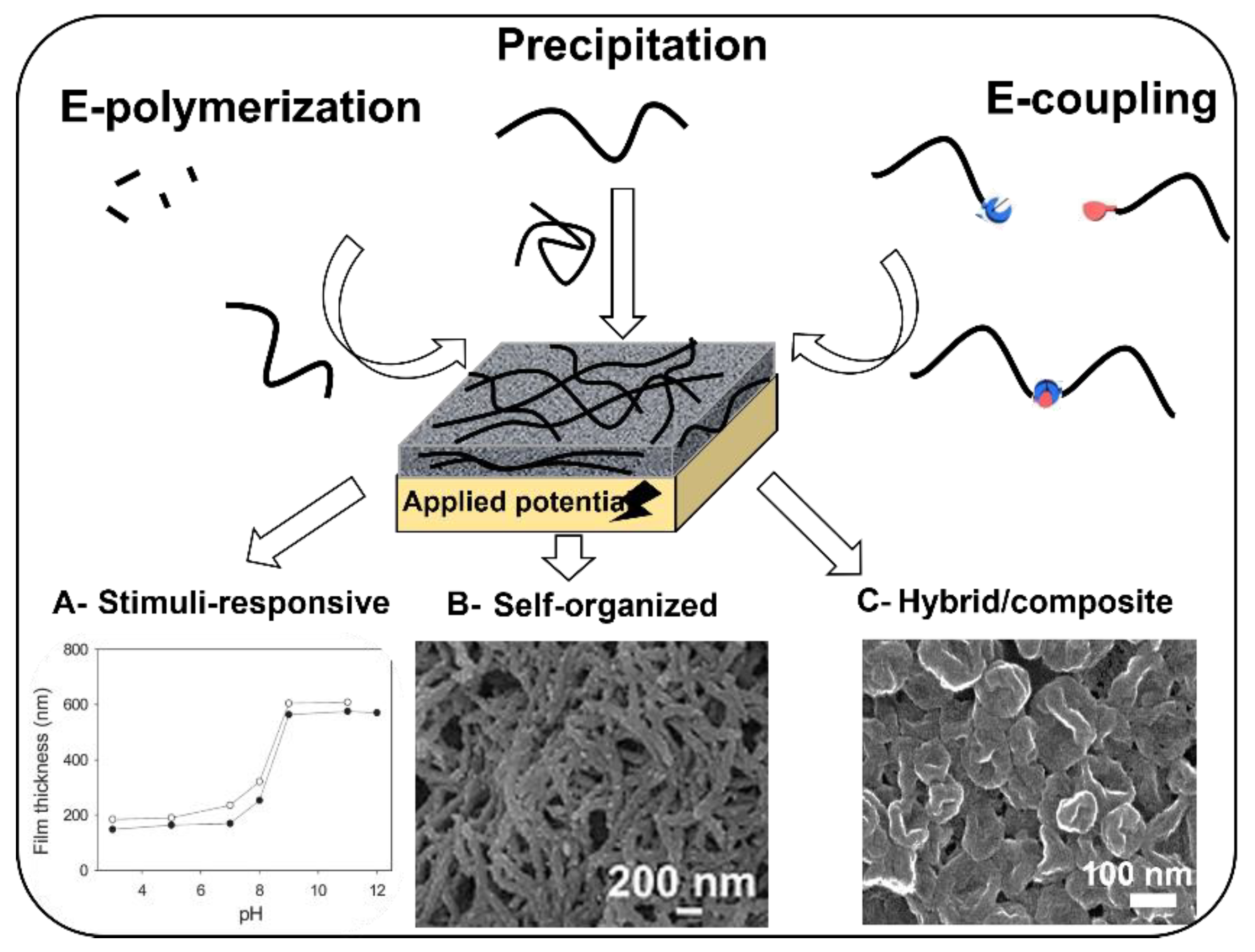 Molecules 27 03263 g002 550