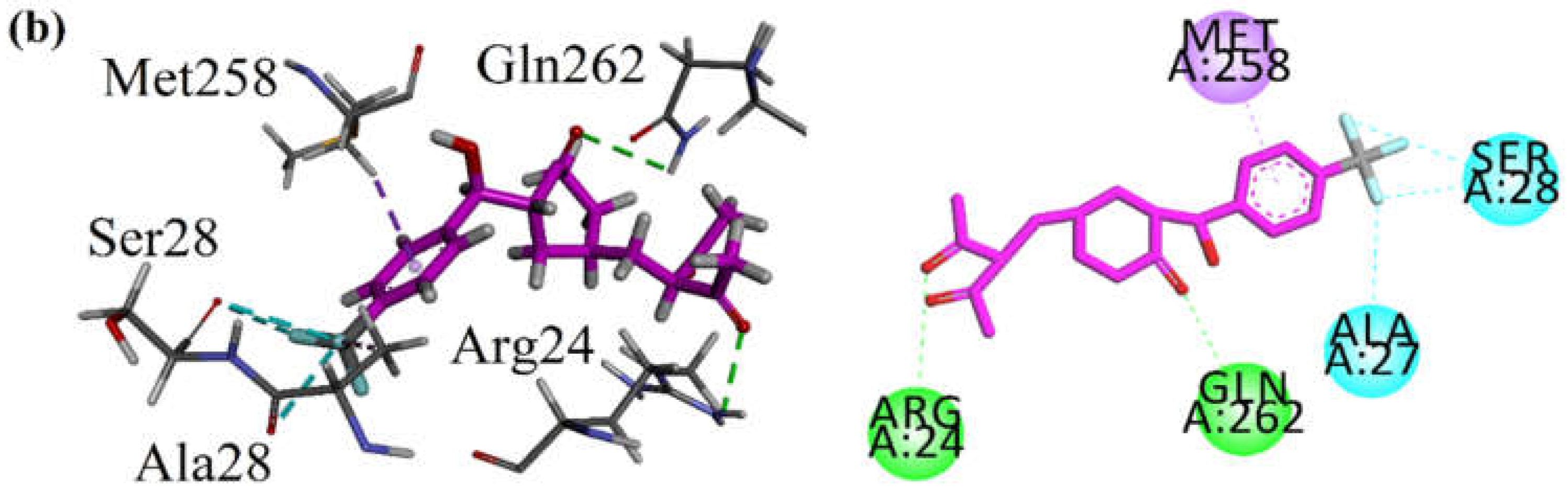 Molecules 27 03265 g004b