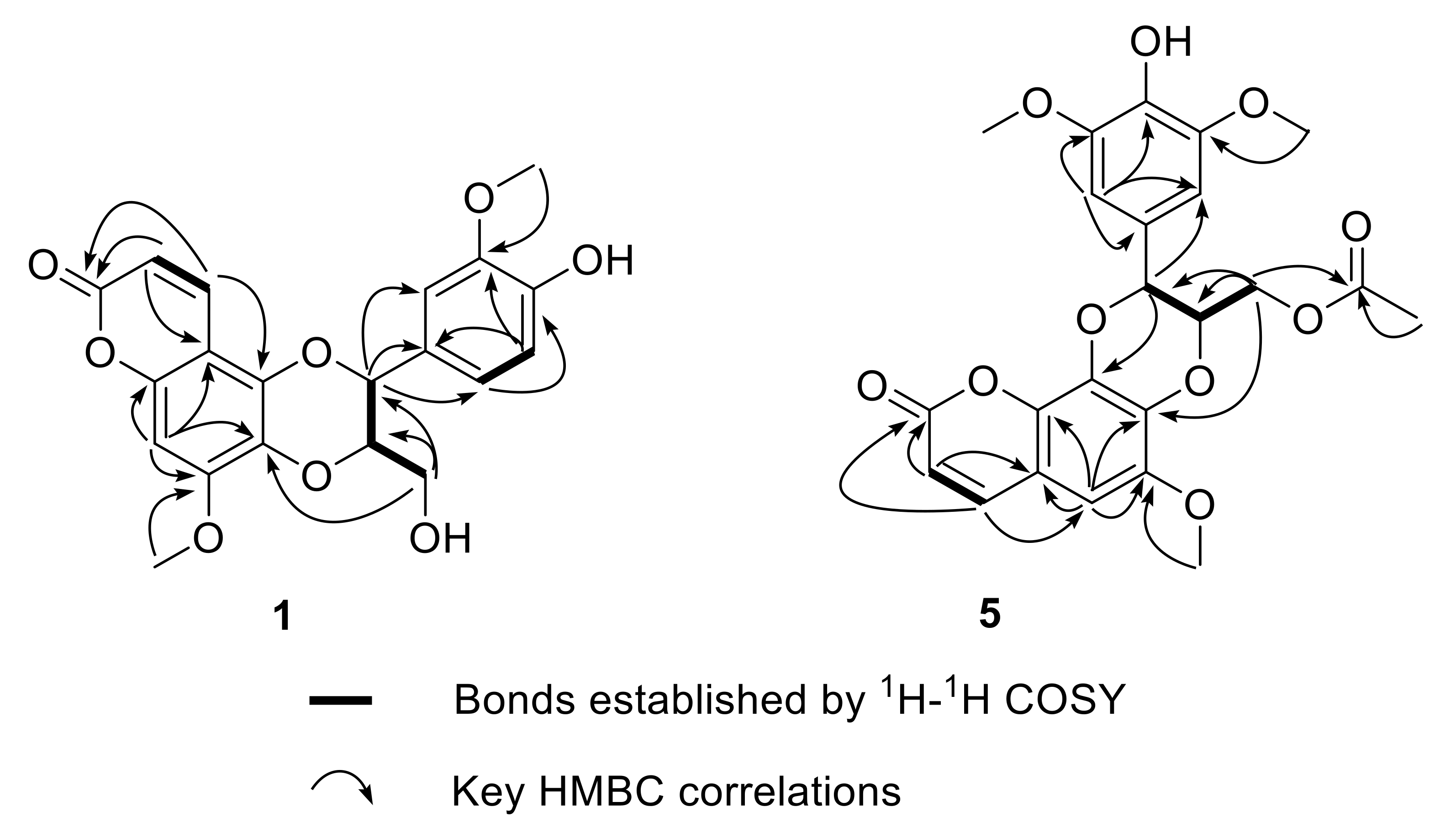 Molecules 27 03270 g002 Molecules 27 03270 g002