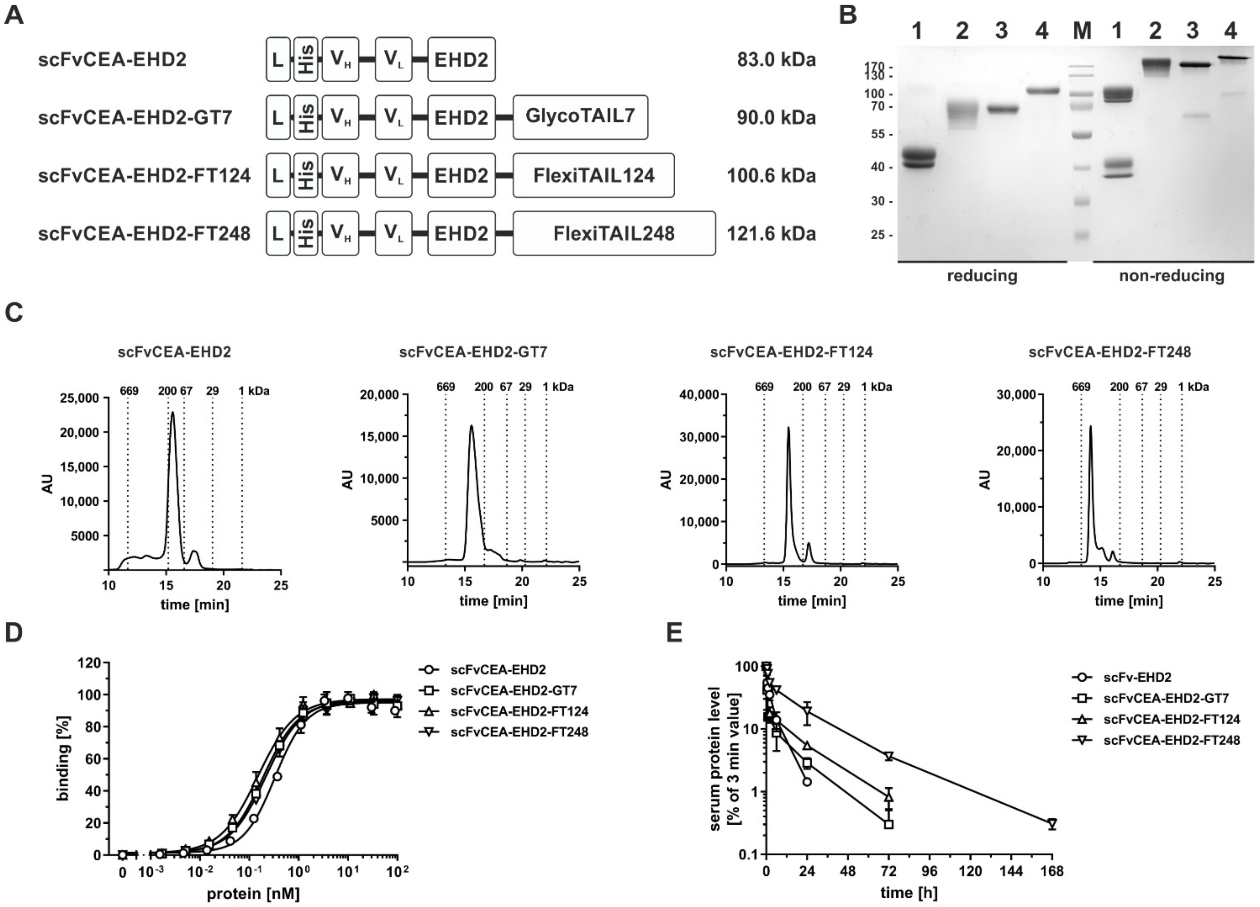 Molecules 27 03272 g004