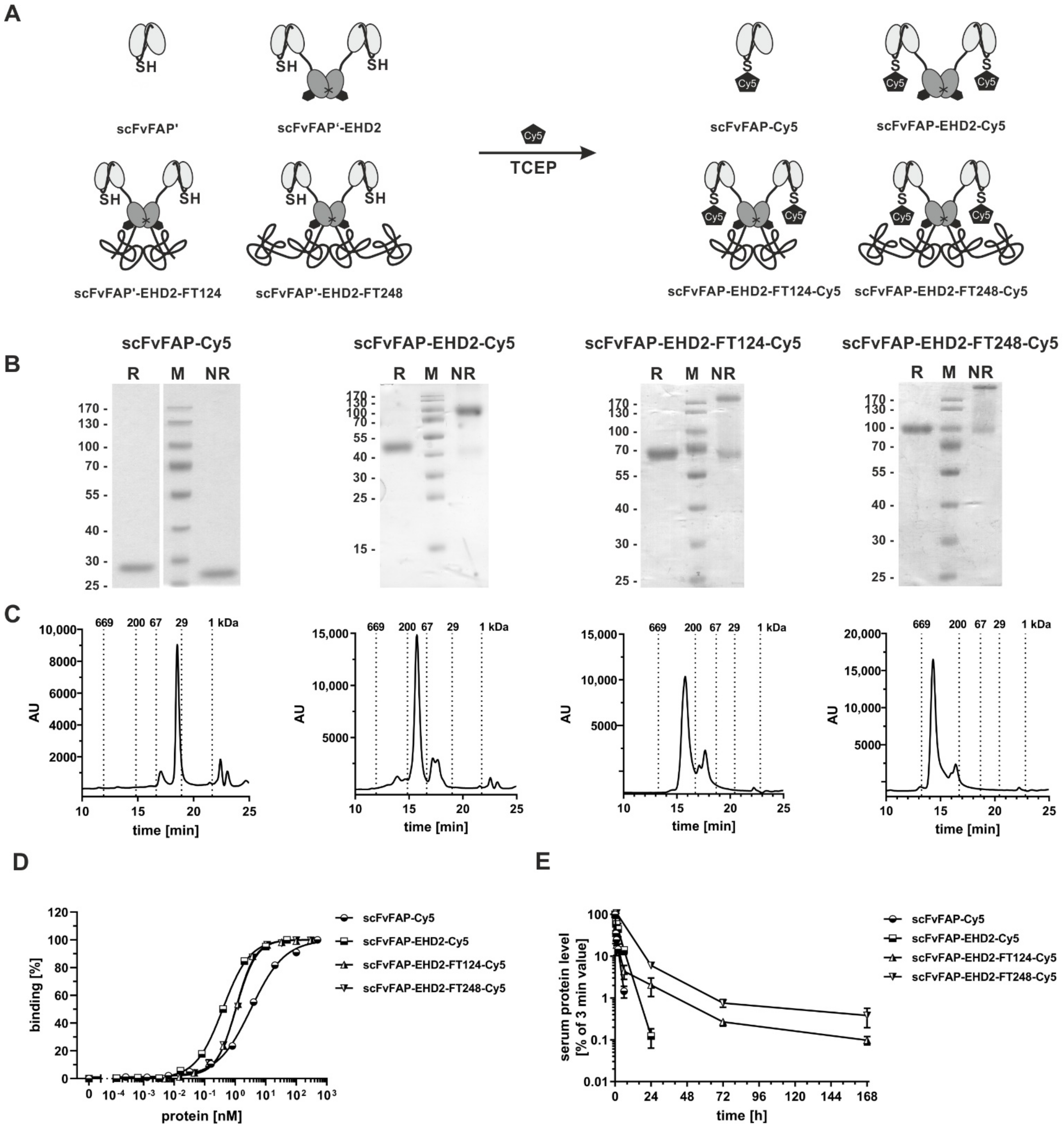 Molecules 27 03272 g005