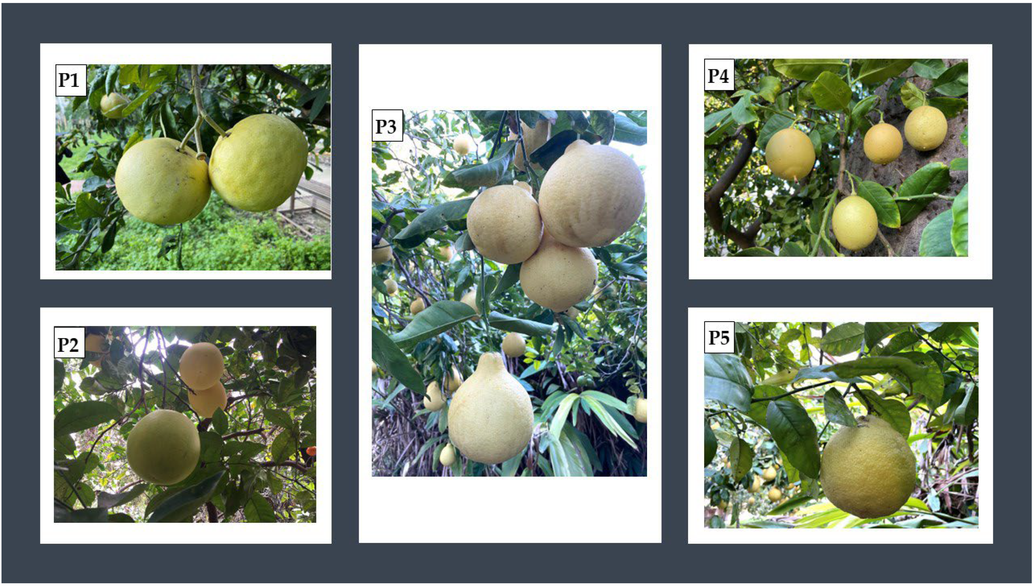 Molecules 27 03273 g001