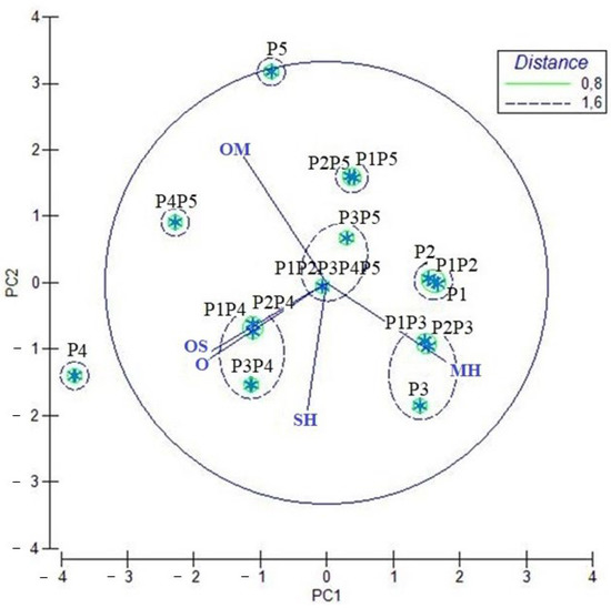 Molecules Free FullText Reuse of Food Waste The Chemical