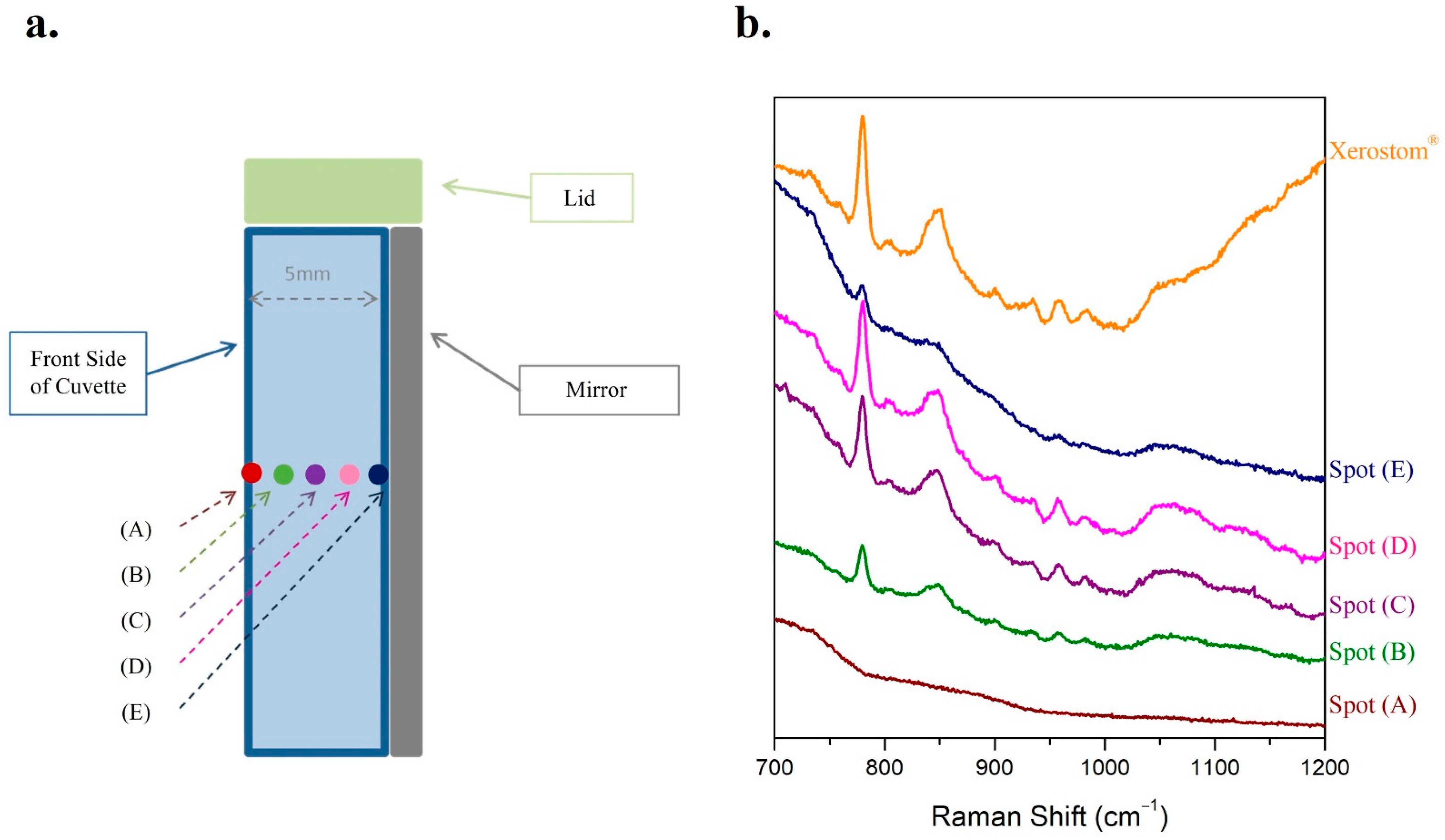 Molecules 27 03279 g004 Molecules 27 03279 g004