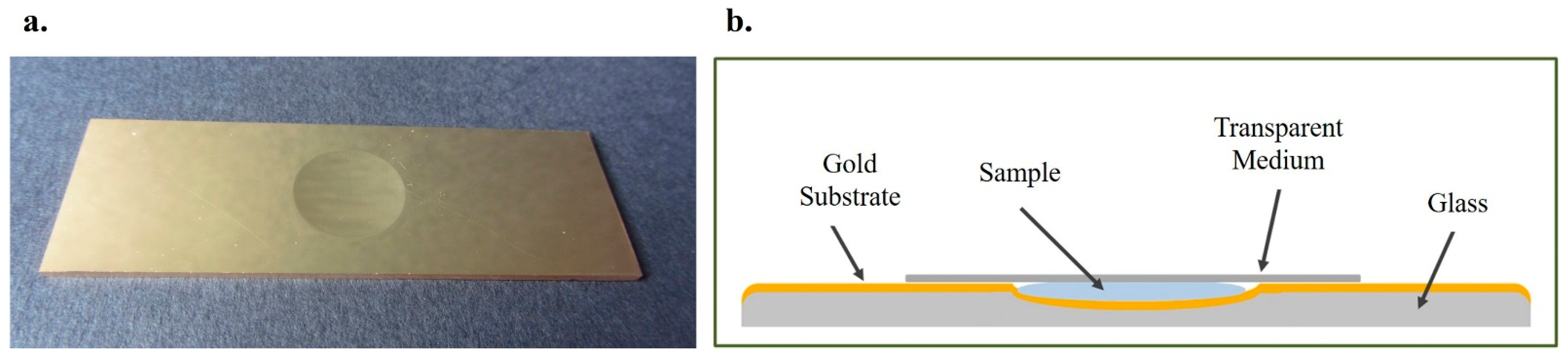 Molecules 27 03279 g006 Molecules 27 03279 g006