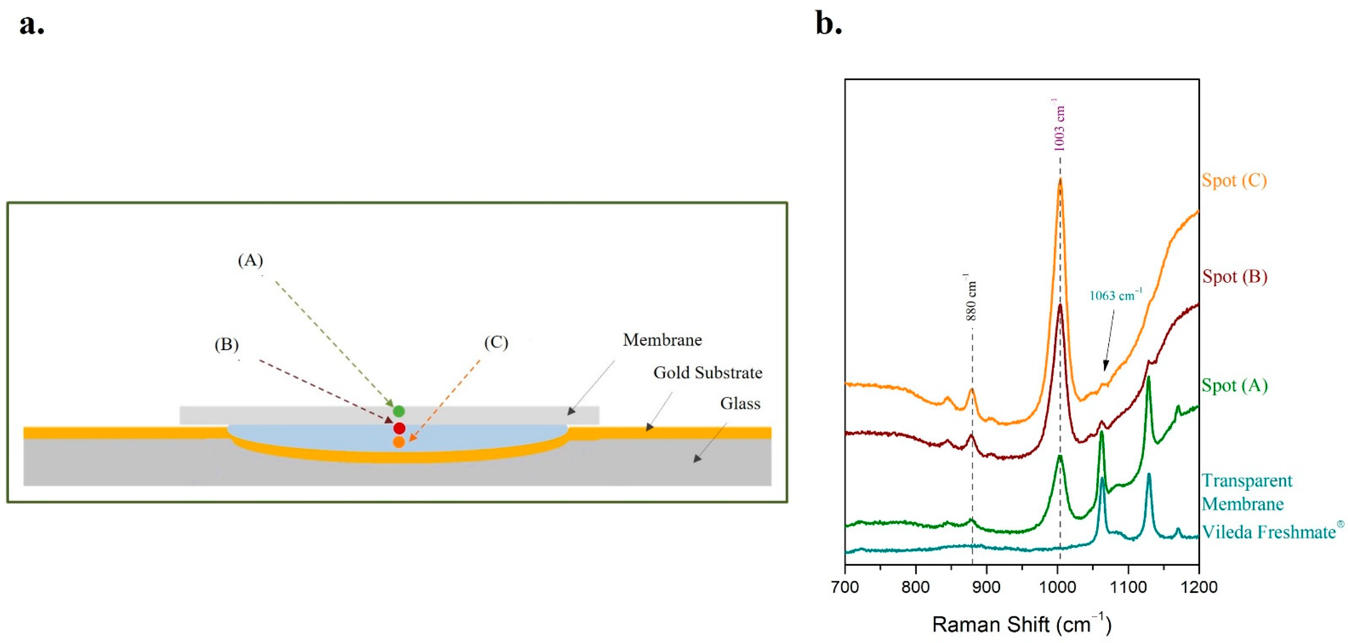 Molecules 27 03279 g009 Molecules 27 03279 g009