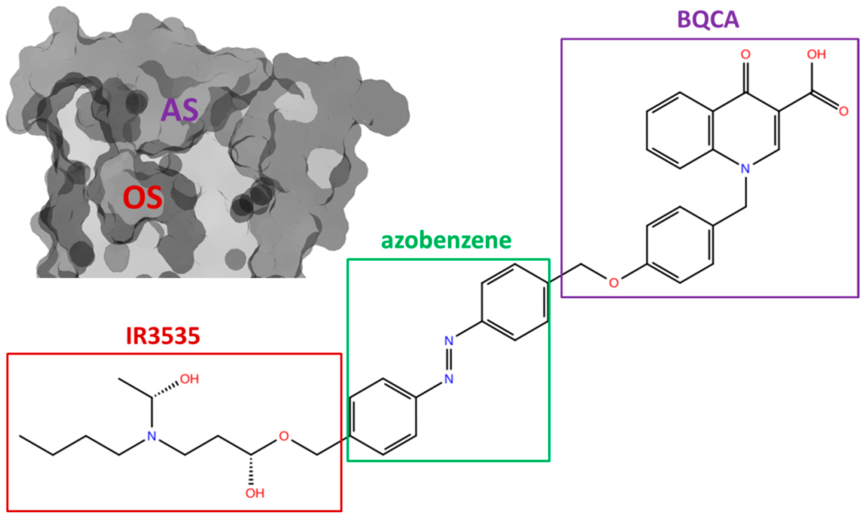 Molecules 27 03280 g007 550