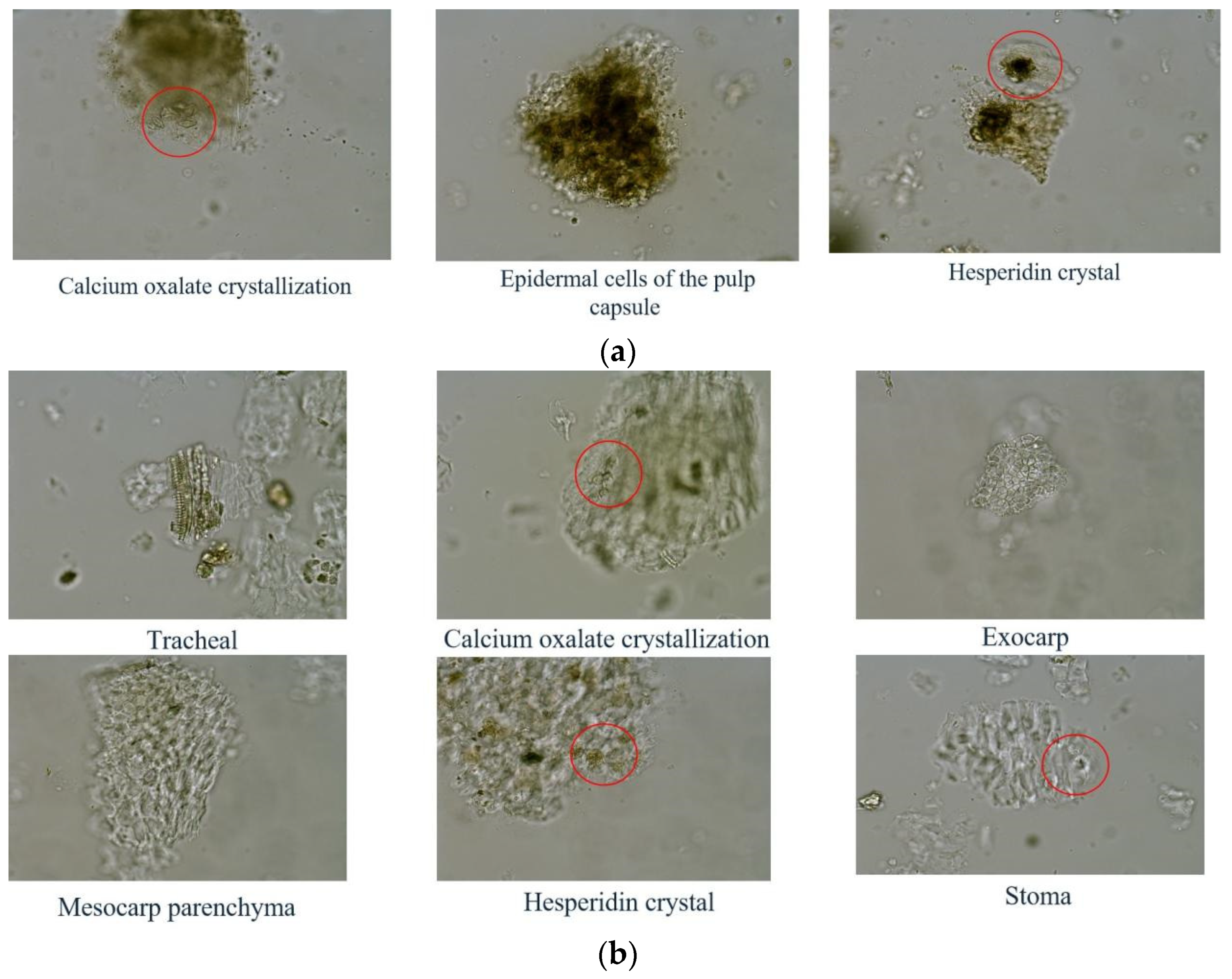 Molecules 27 03285 g002 550