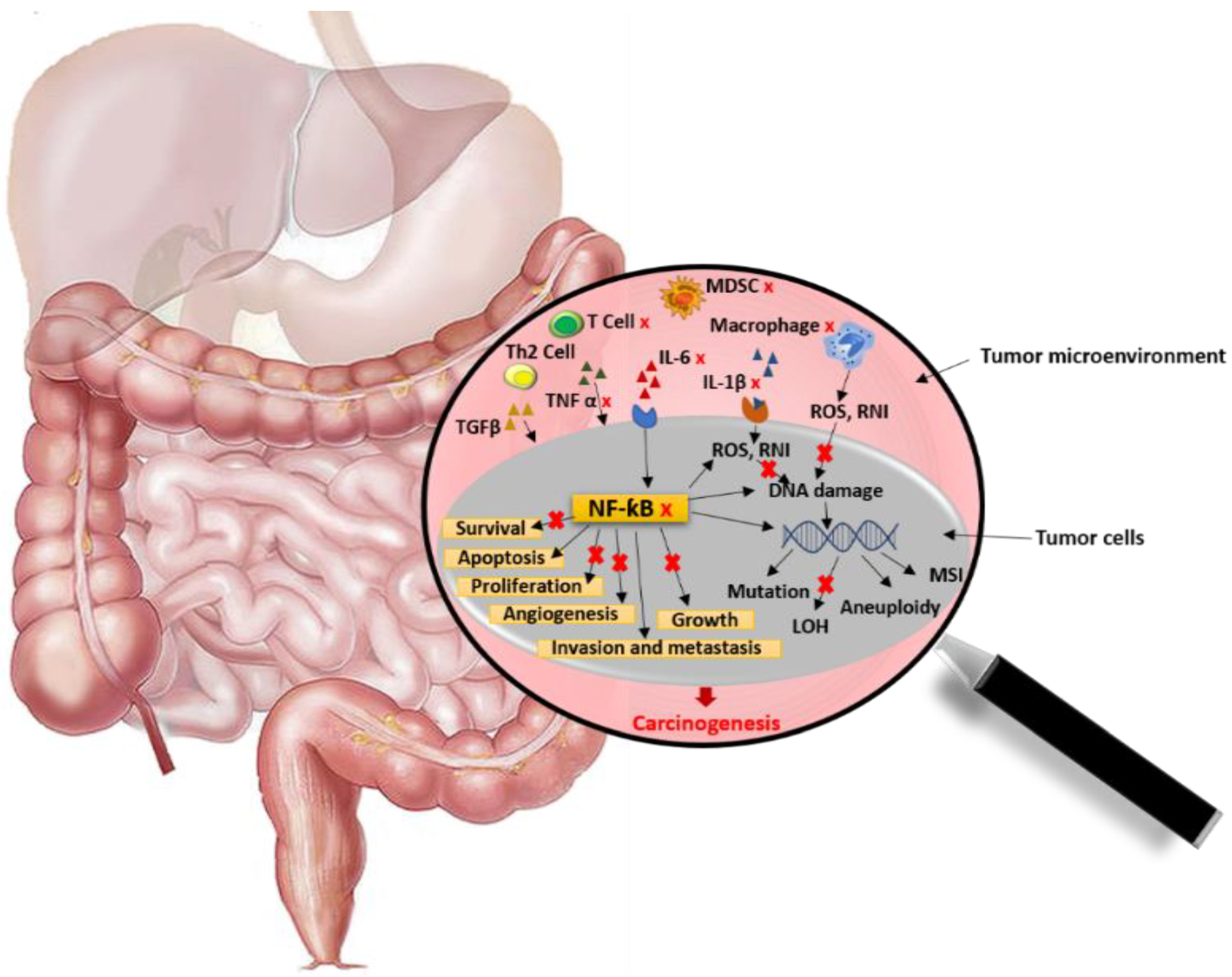Molecules 27 03286 g004 Molecules 27 03286 g004
