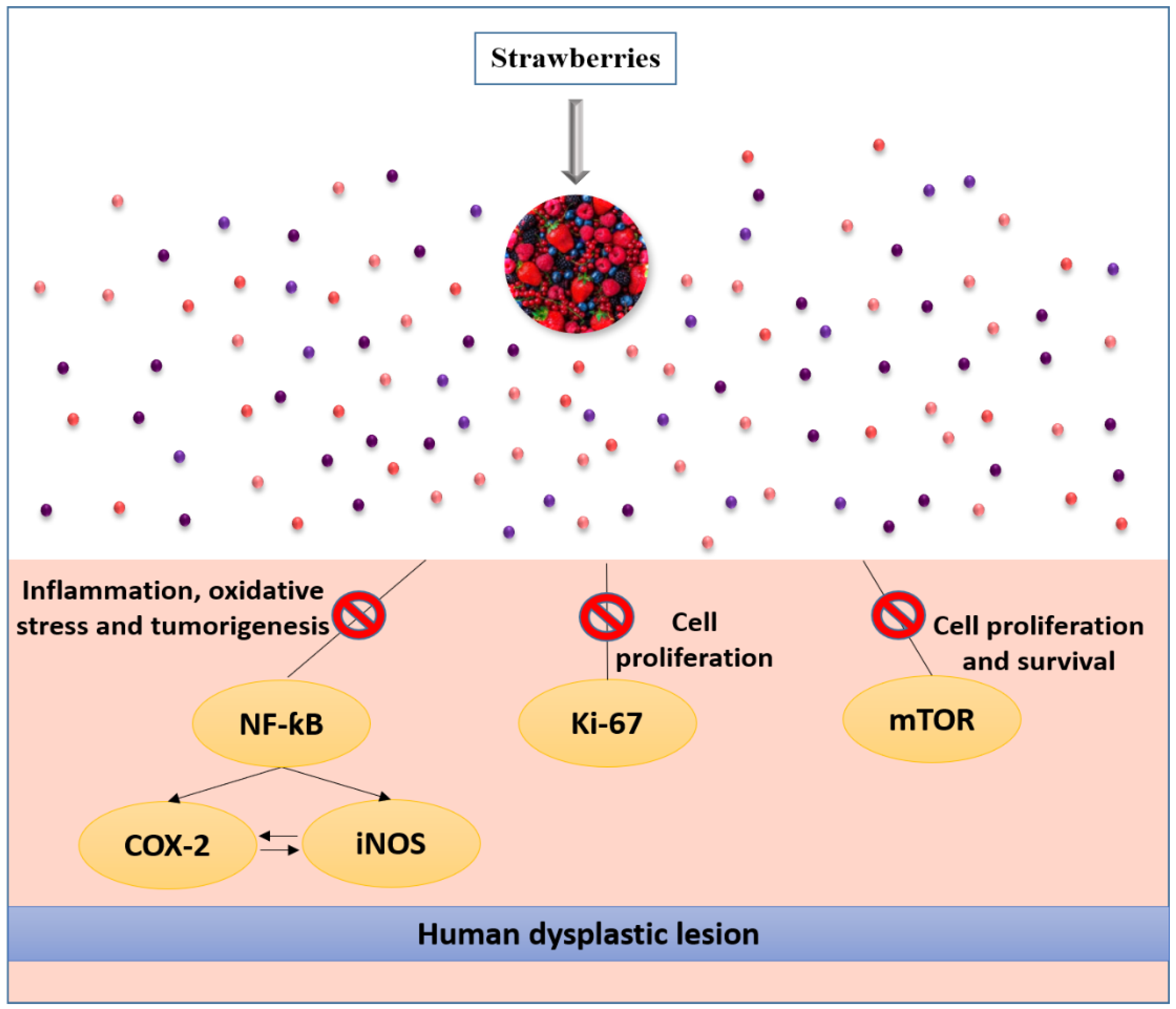 Molecules 27 03286 g005 Molecules 27 03286 g005