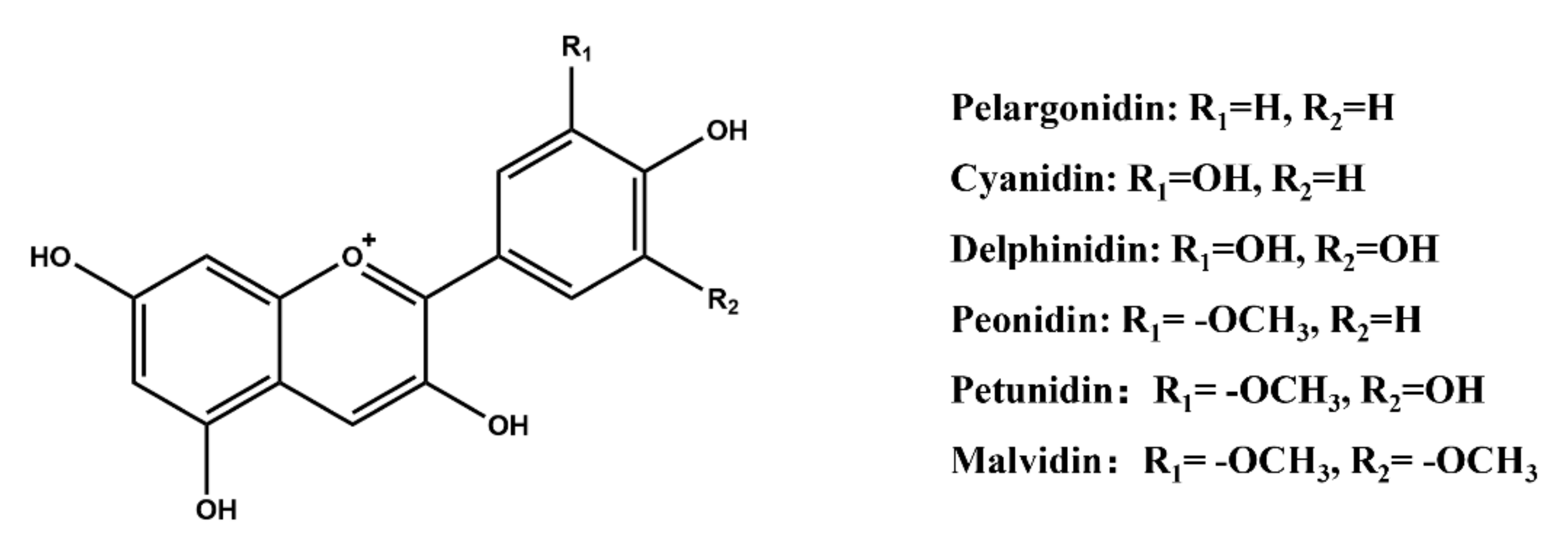 Molecules 27 03291 g005