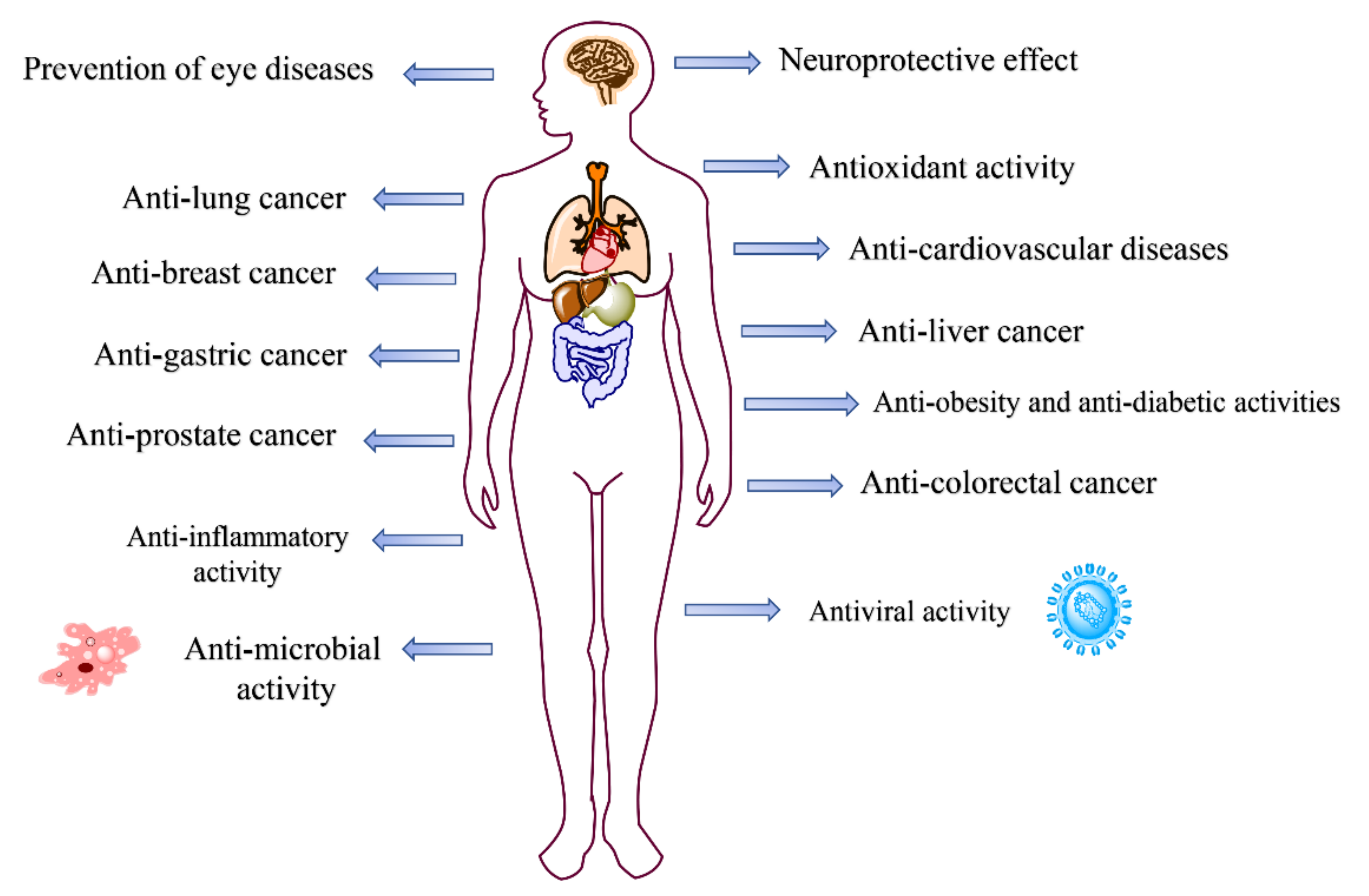 Molecules 27 03291 g010