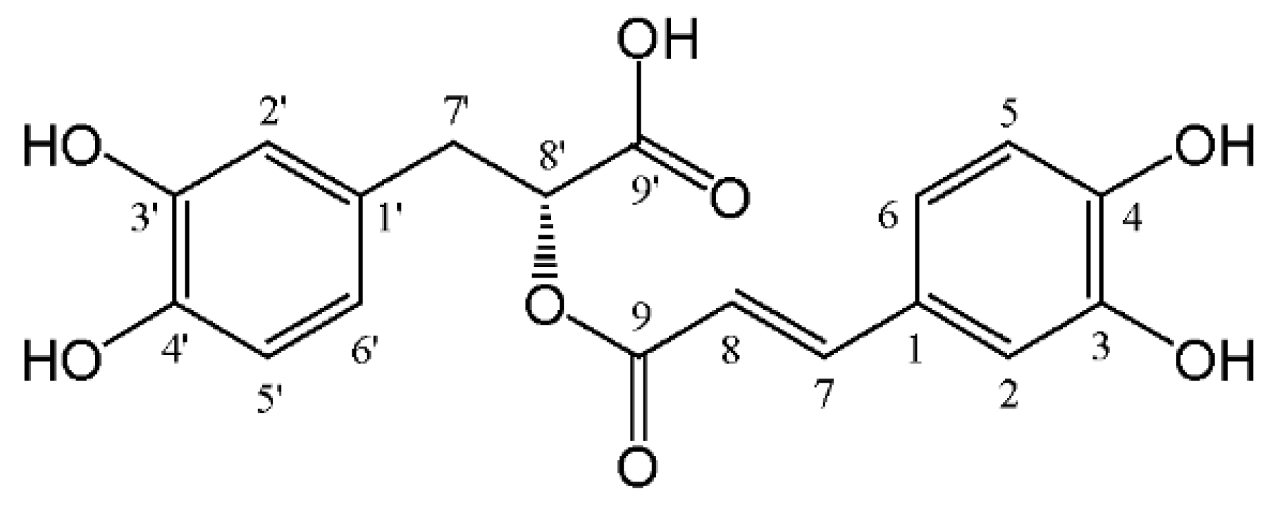 A Comprehensive Review of Rosmarinic Acid: From