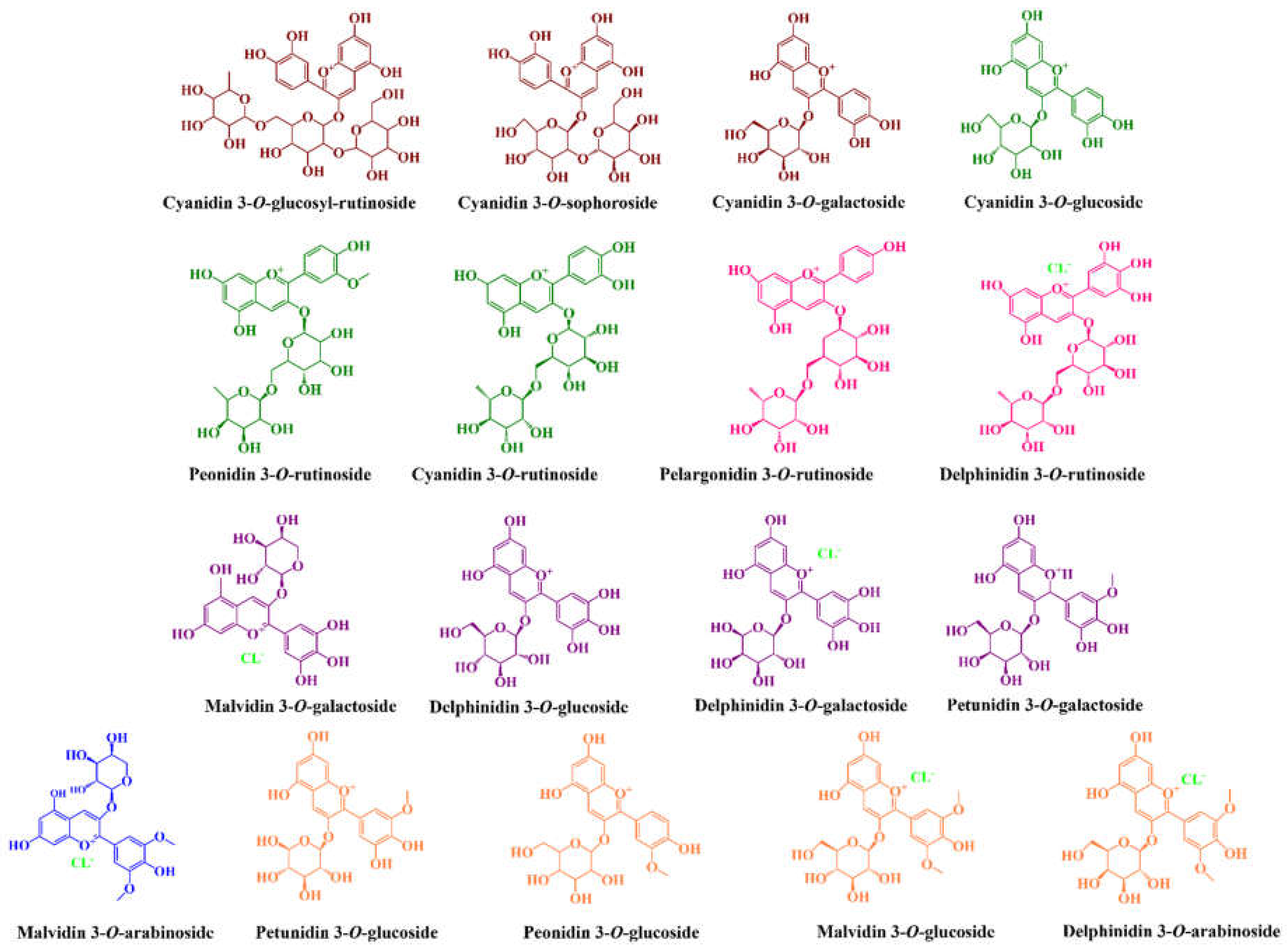 Molecules 27 03294 g001